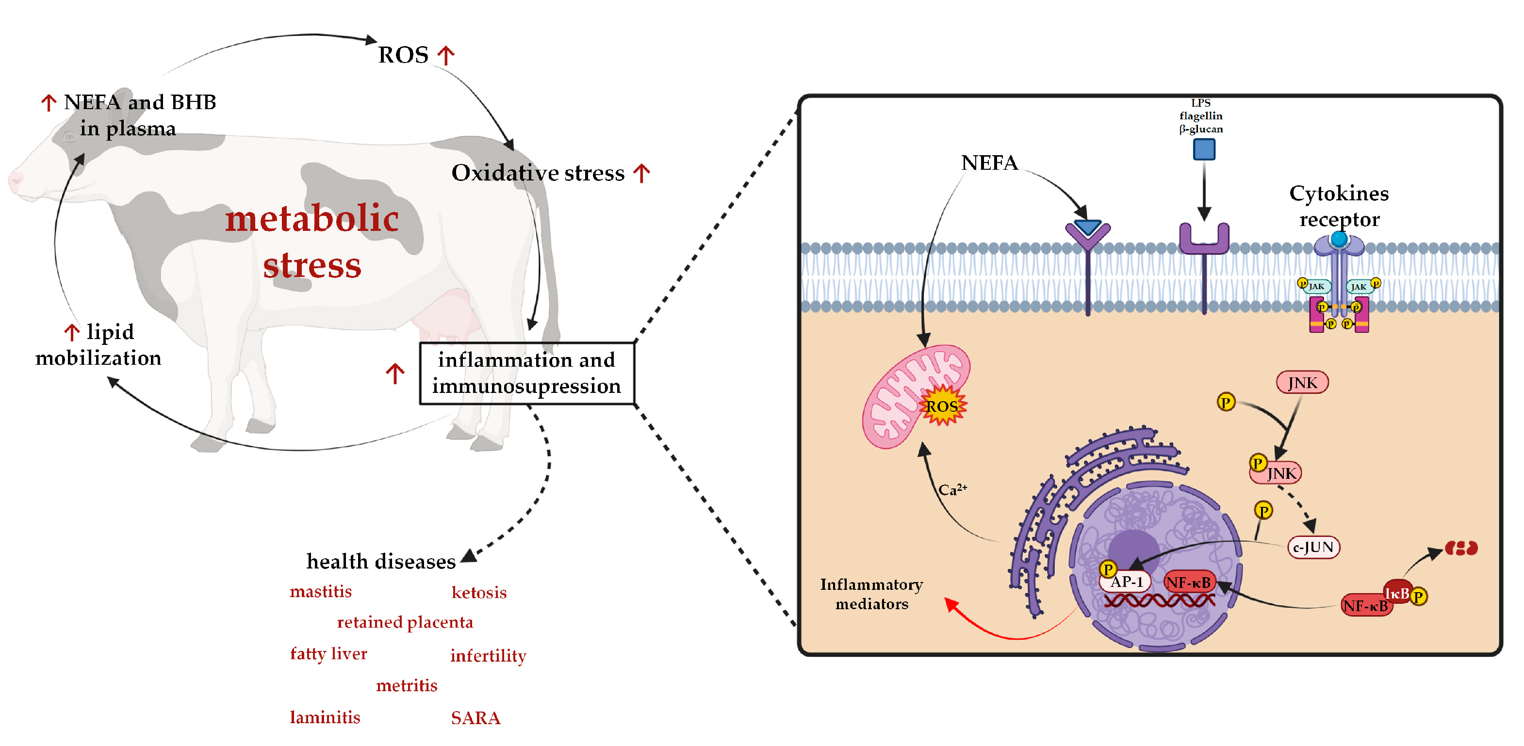 Molecules 27 07752 g008 Molecules 27 07752 g008