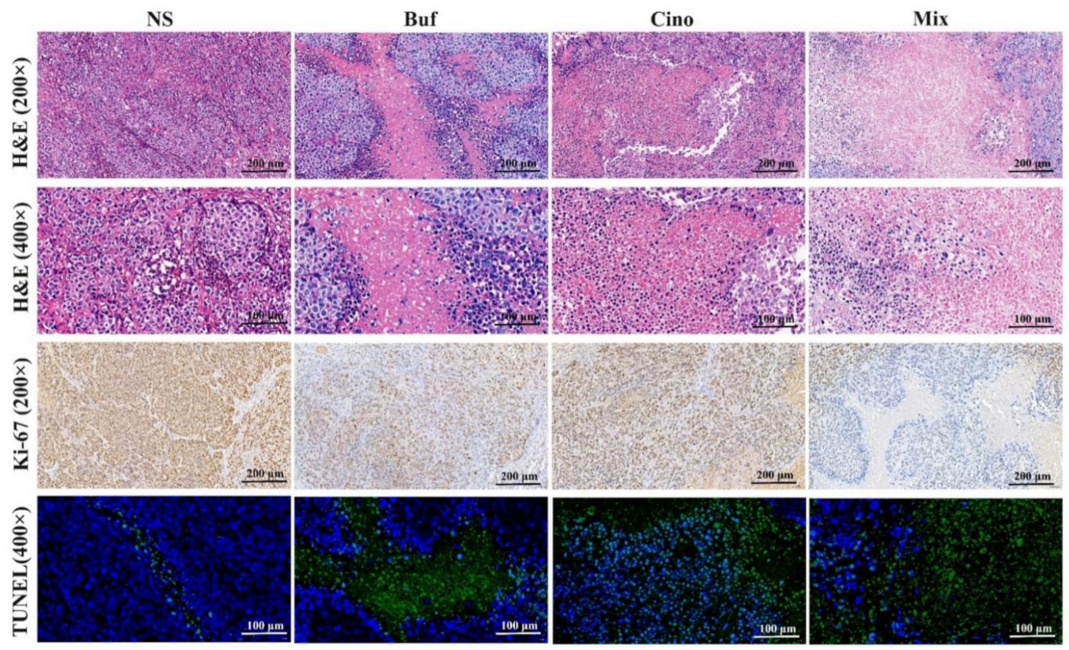 Molecules 27 07758 g006 Molecules 27 07758 g006