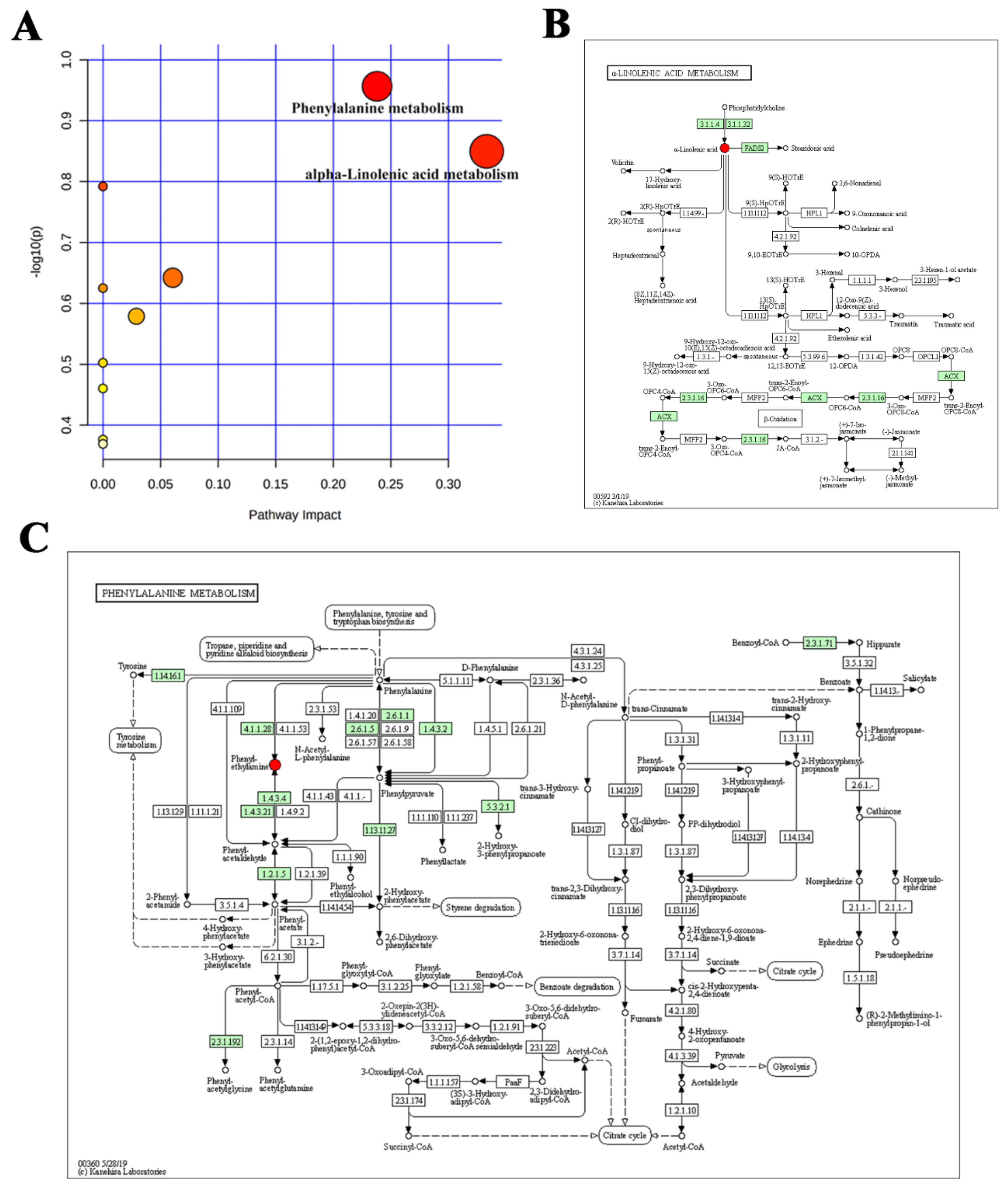 Molecules 27 07758 g010 Molecules 27 07758 g010