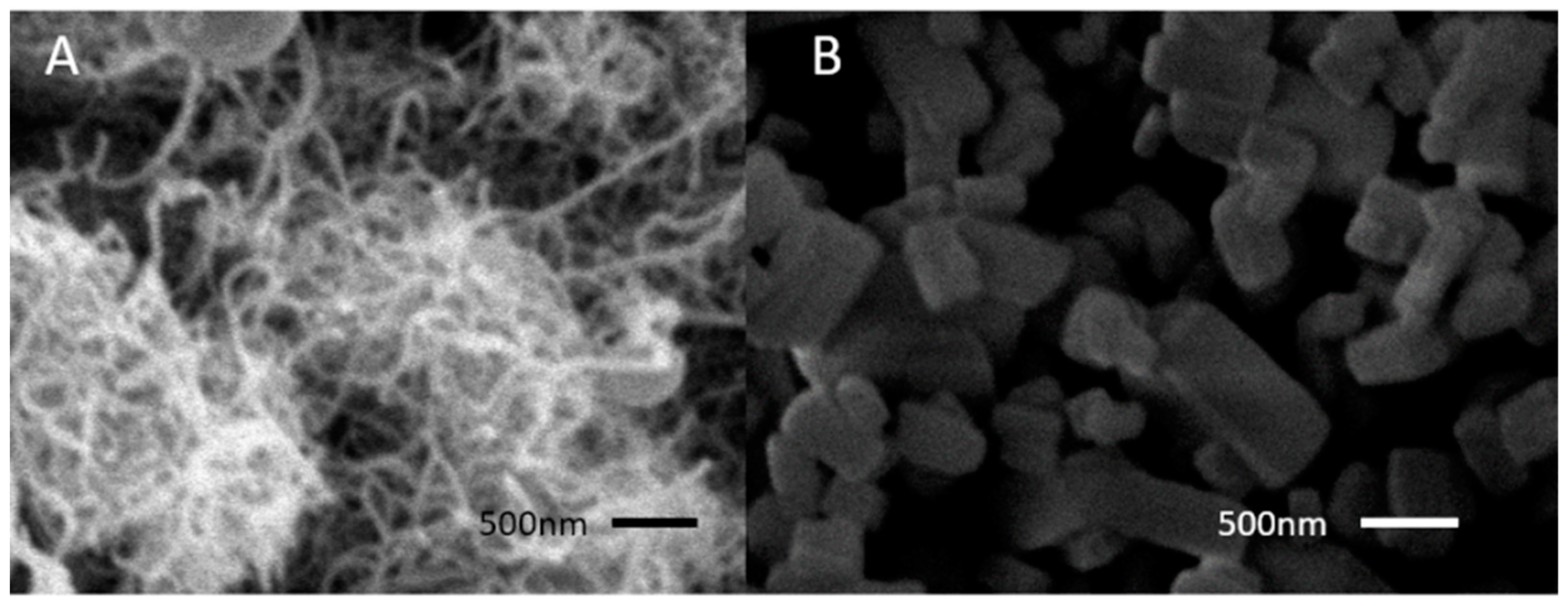 Molecules 27 07761 g001 Molecules 27 07761 g001