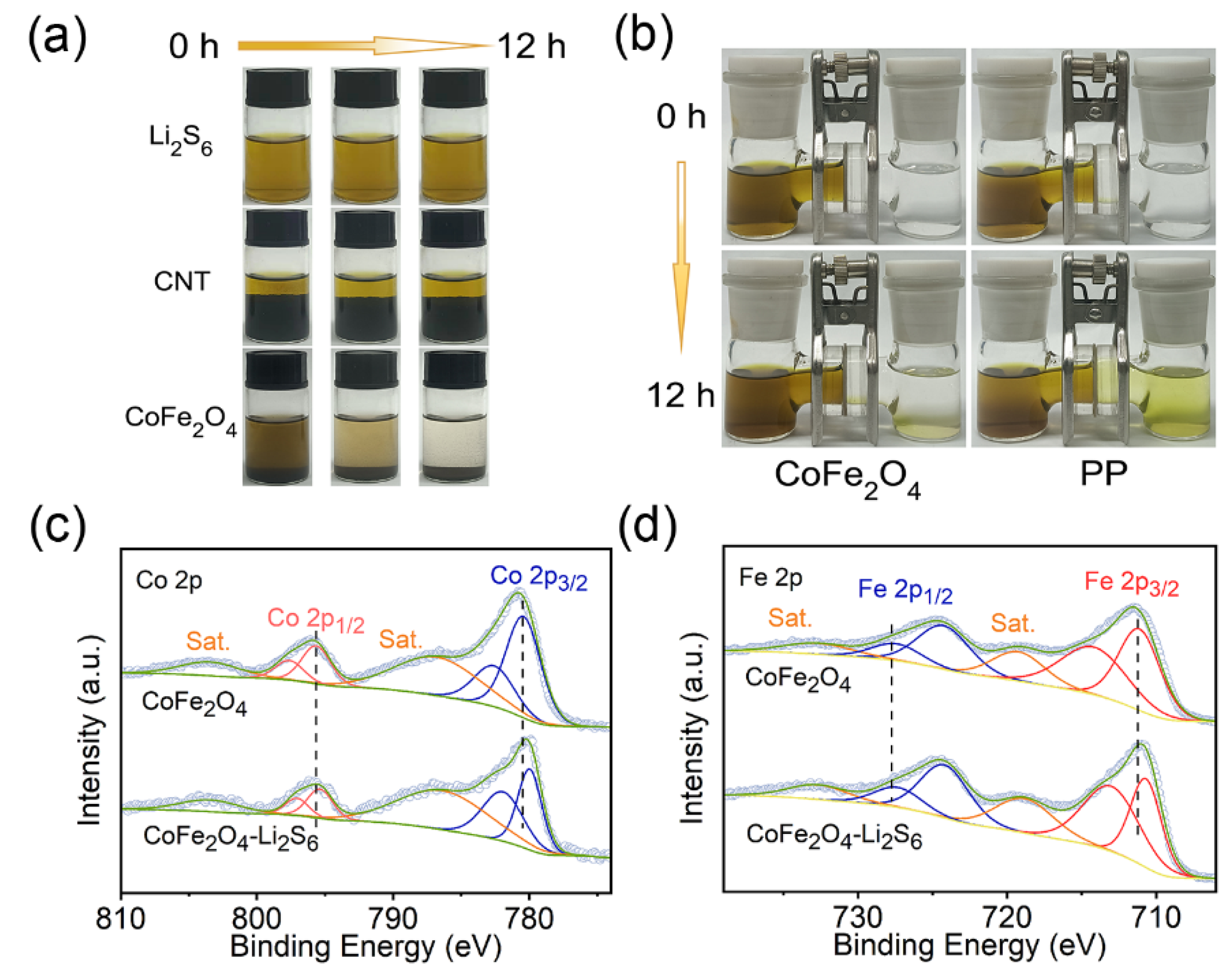 Molecules 27 07762 g002