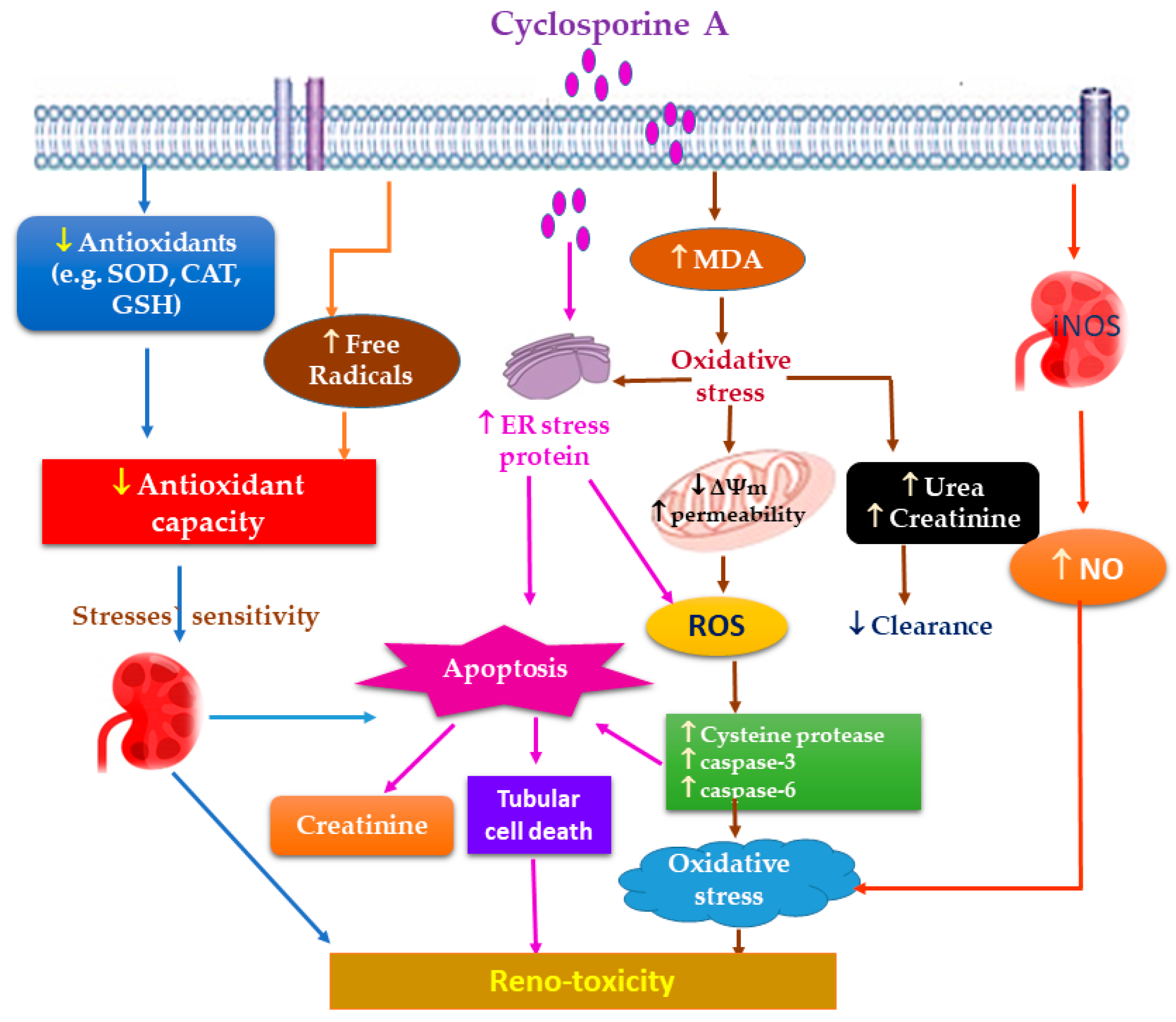 Molecules 27 07771 g002