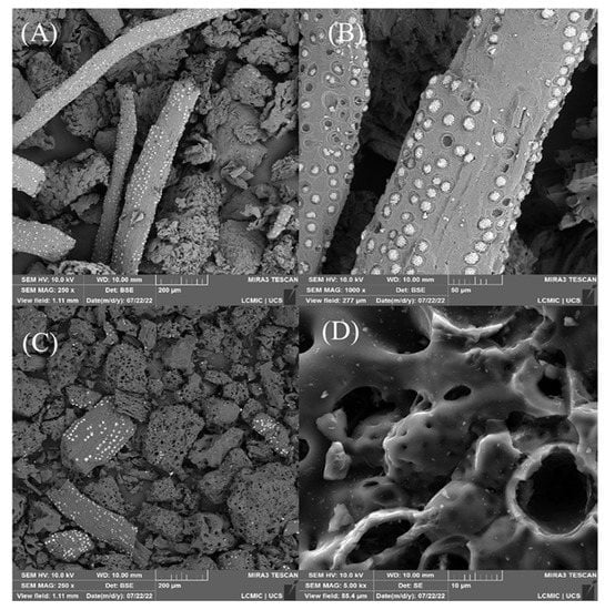 Molecules | Free Full-Text | Transformation of Residual A&ccedil;ai Fruit  (Euterpe oleracea) Seeds into Porous Adsorbent for Efficient Removal of  2,4-Dichlorophenoxyacetic Acid Herbicide from Waters