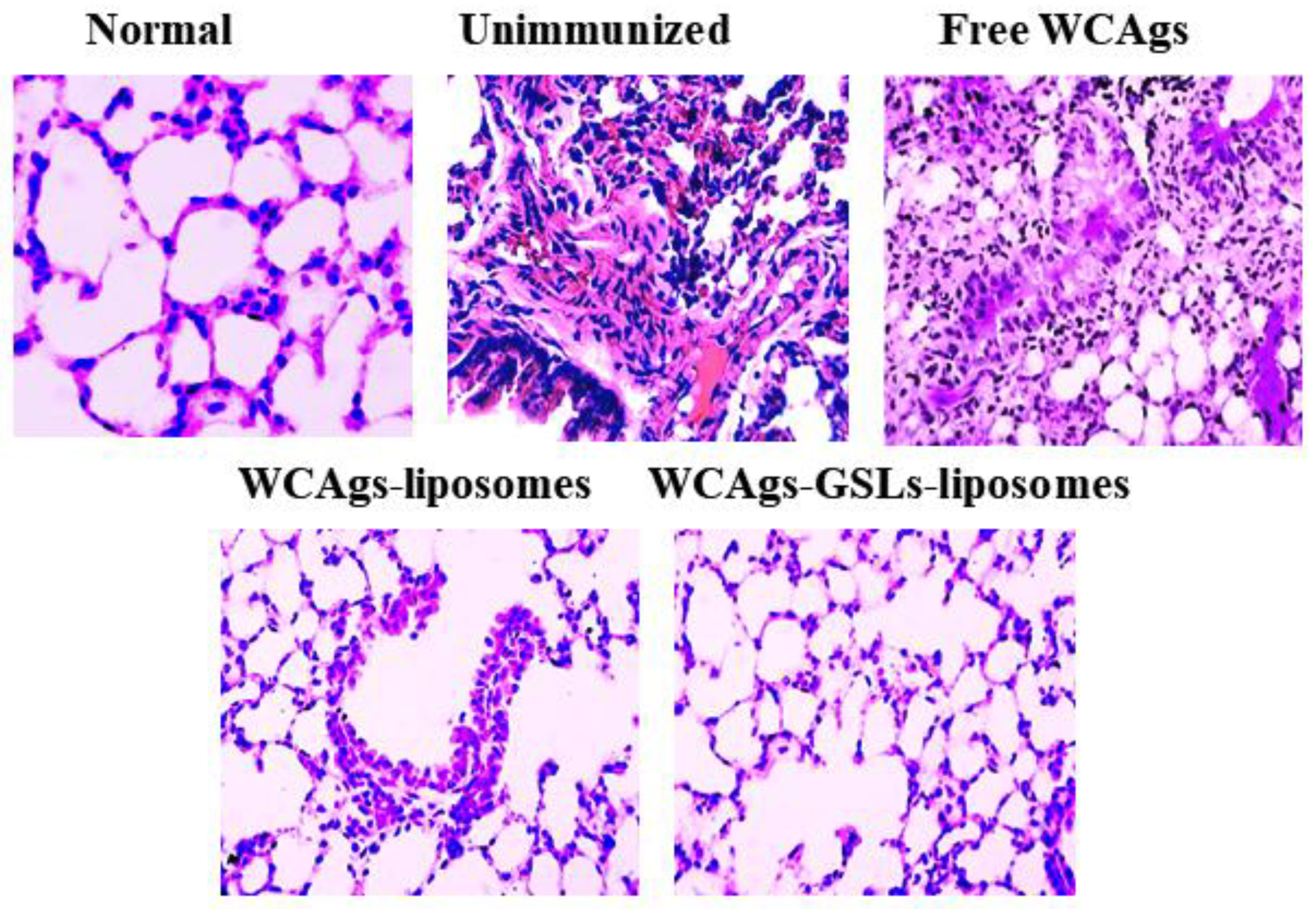Molecules 27 07790 g009