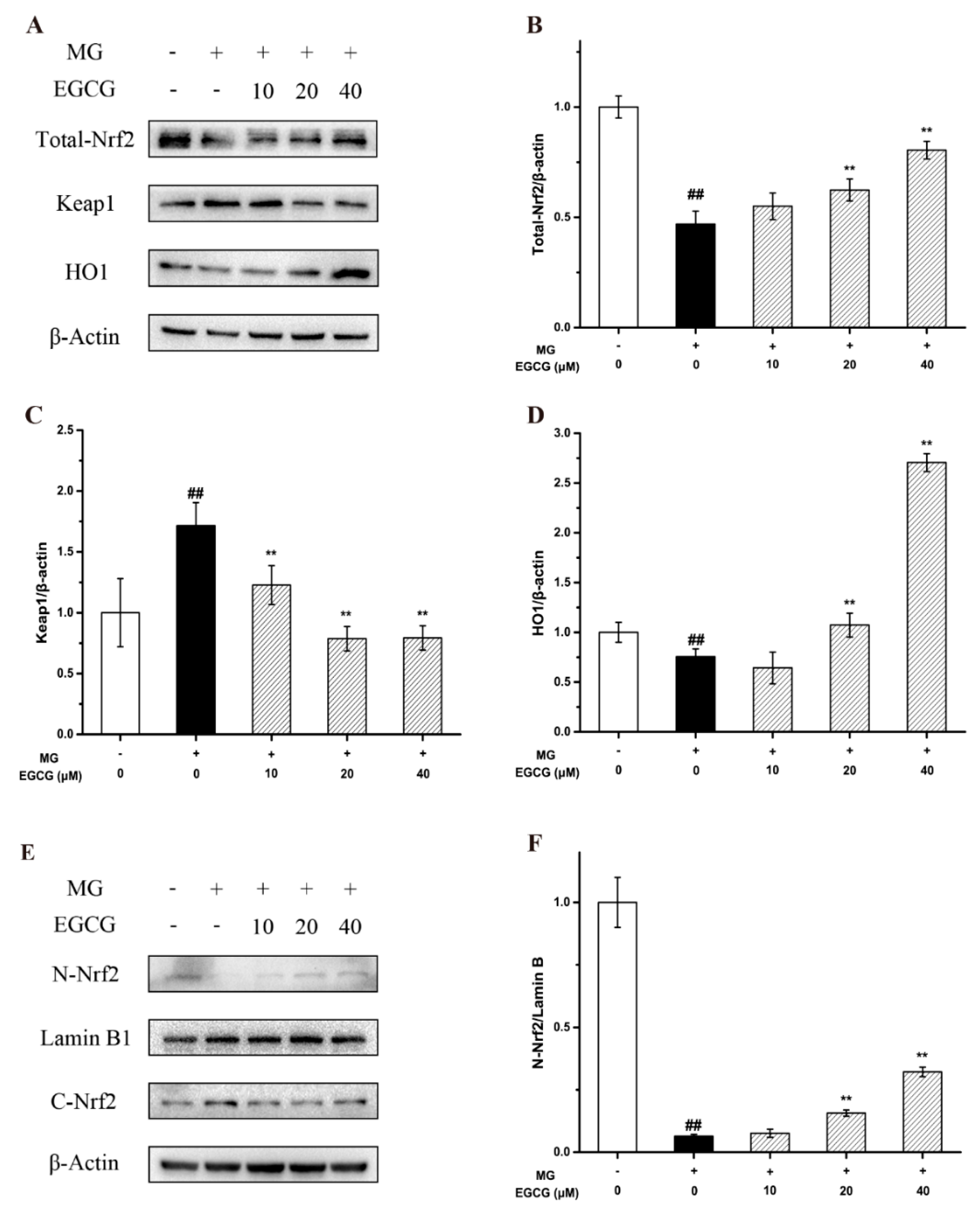 Molecules 27 07804 g003