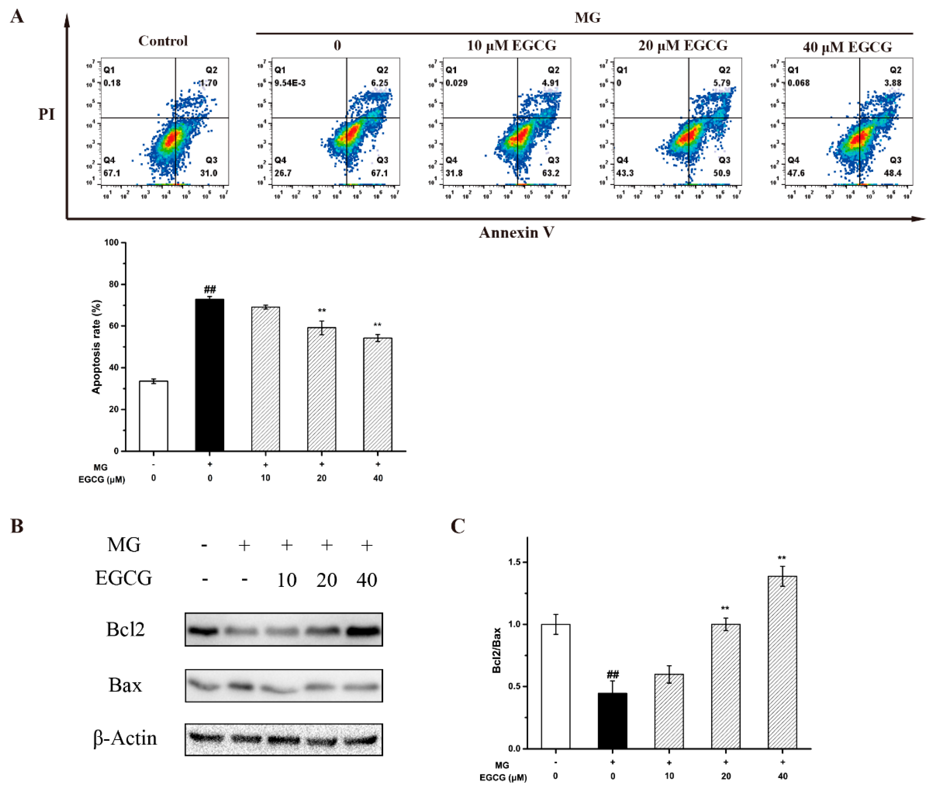 Molecules 27 07804 g004