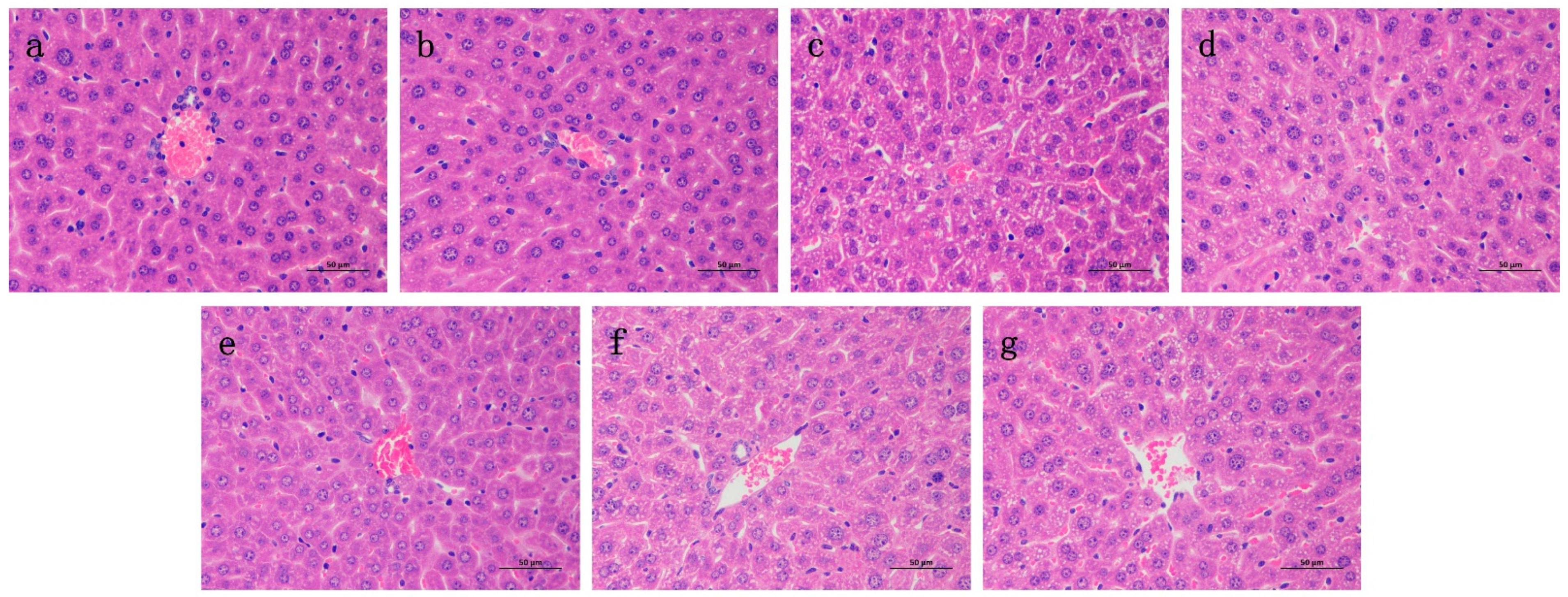 Molecules 27 07815 g006