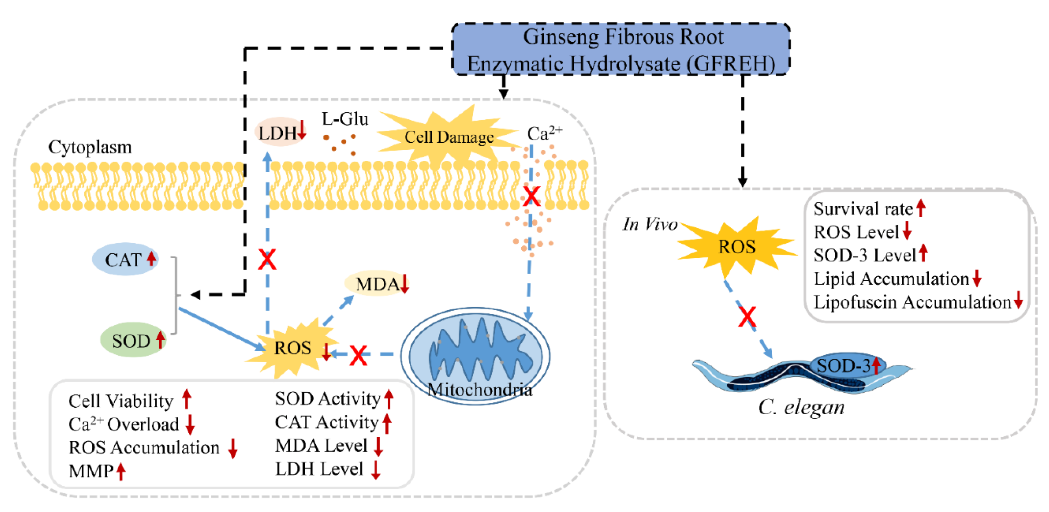 Molecules 27 07824 g001