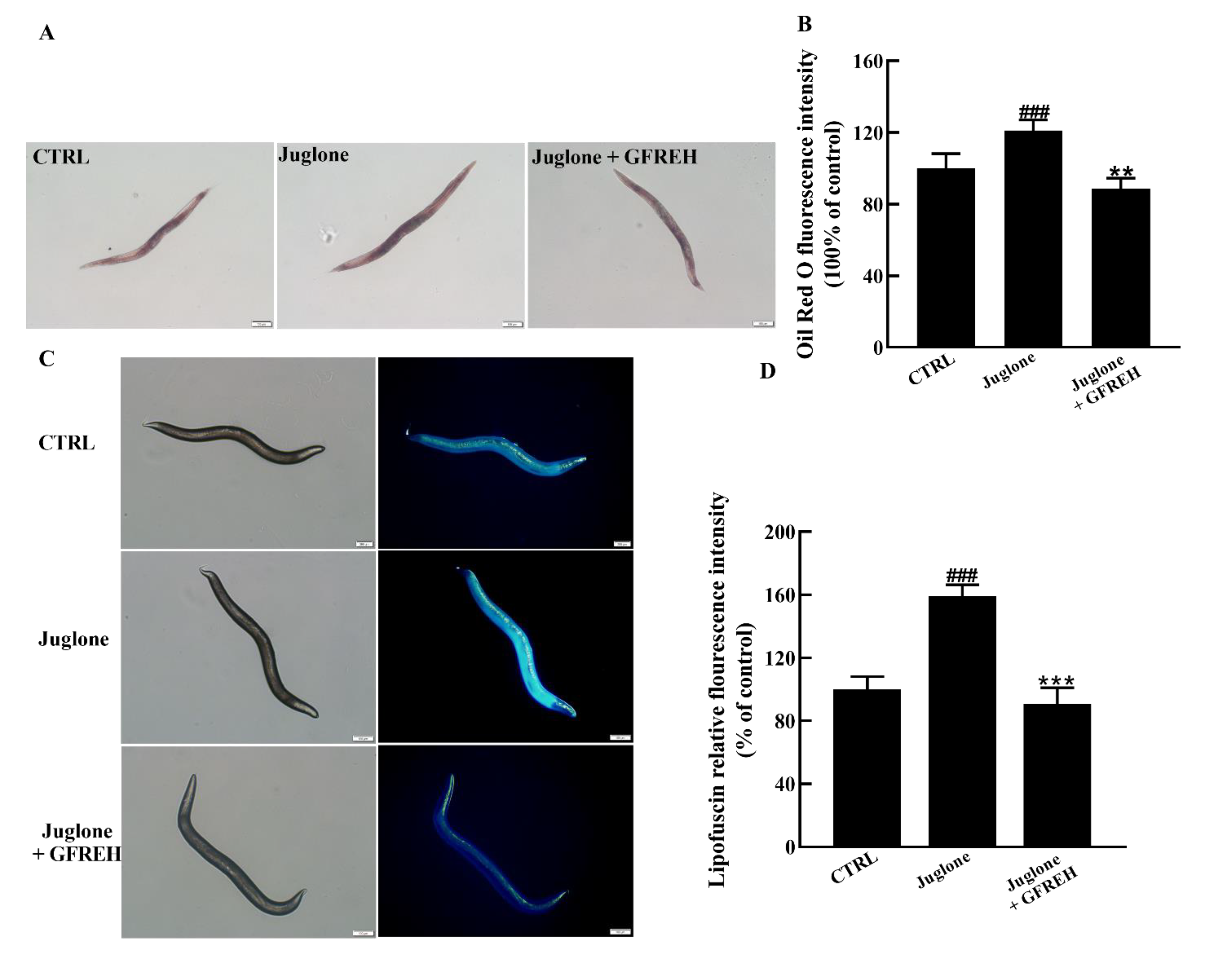 Molecules 27 07824 g009