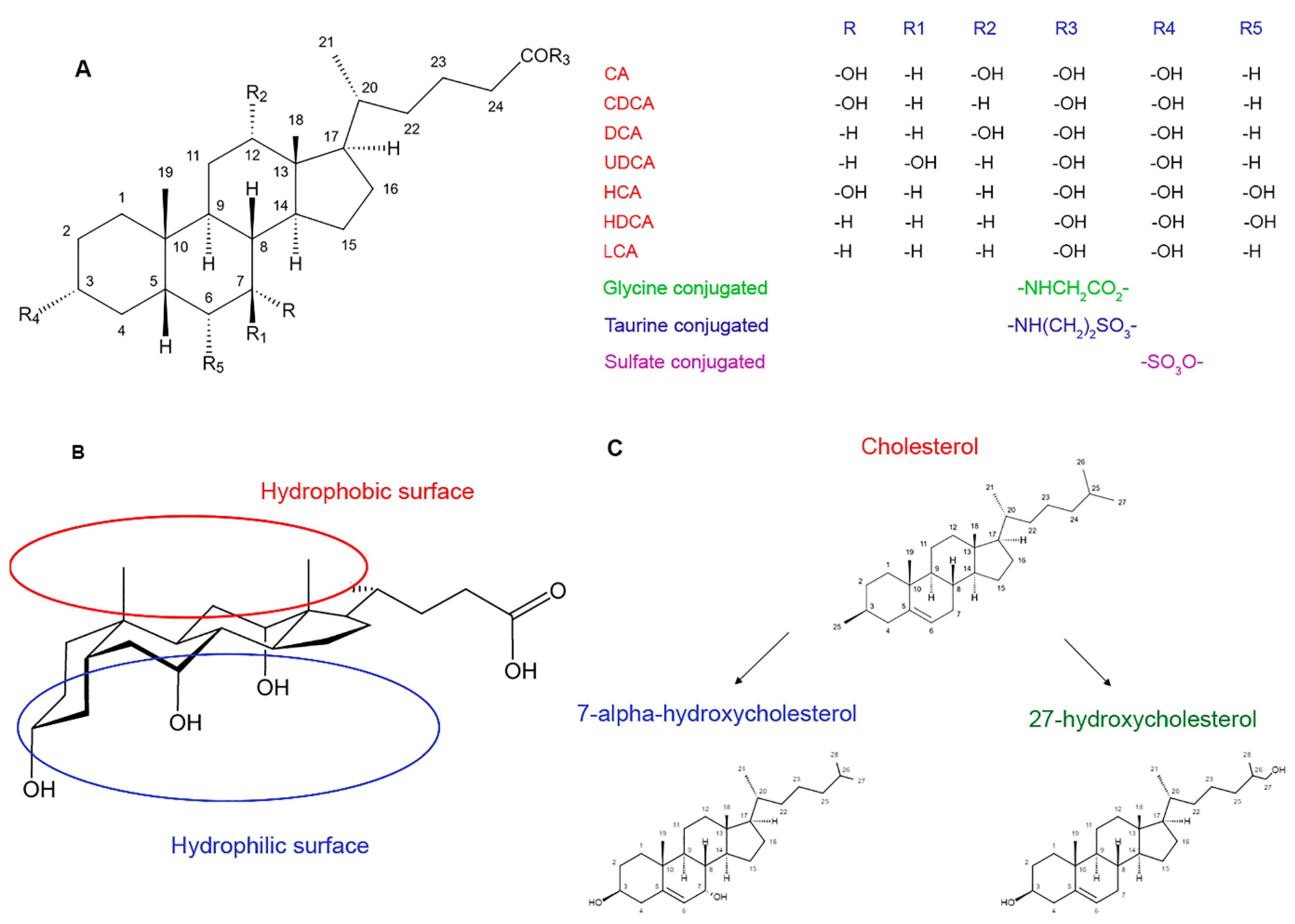 Molecules 27 07830 g001 Molecules 27 07830 g001
