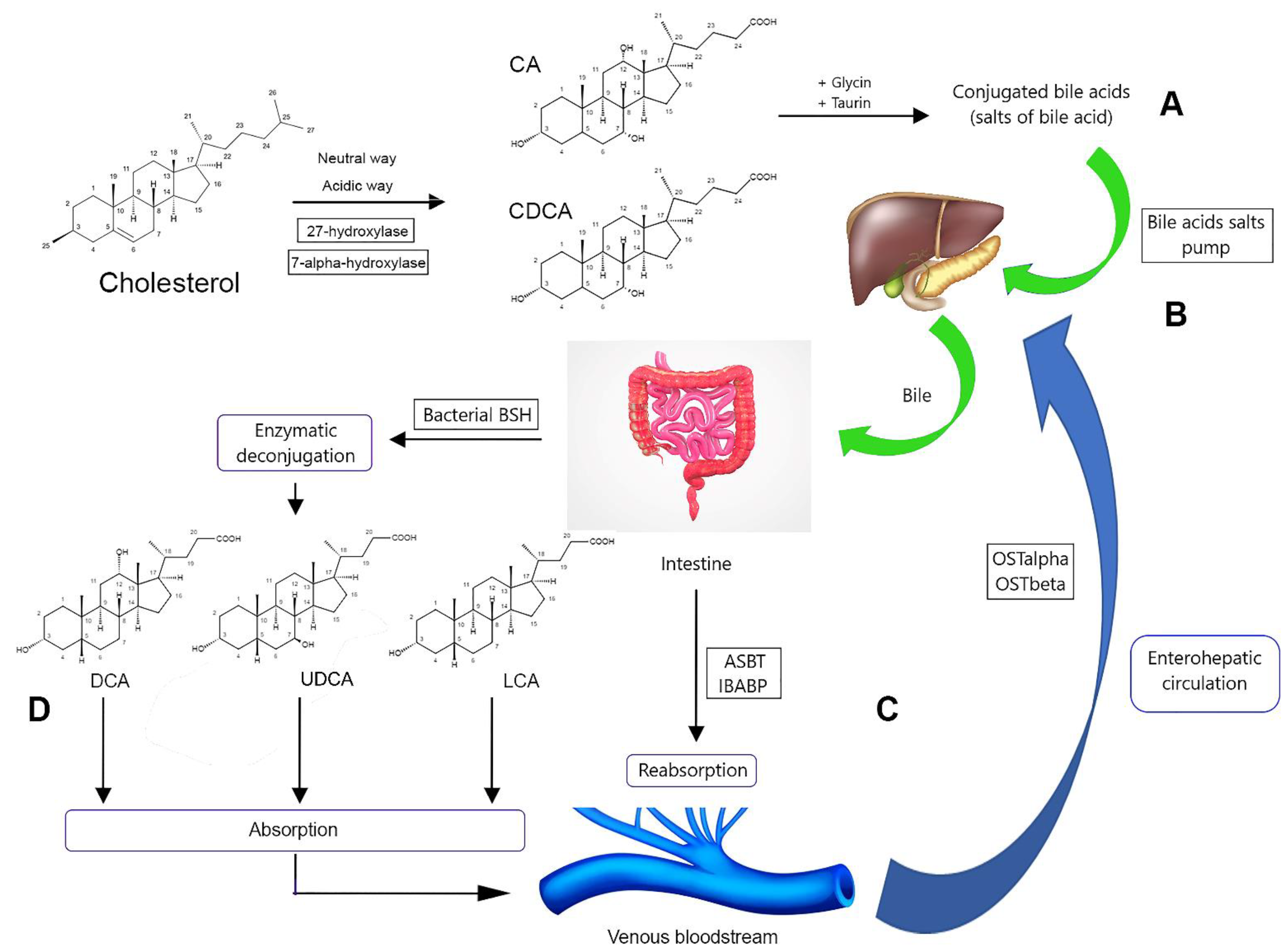 Molecules 27 07830 g002 Molecules 27 07830 g002
