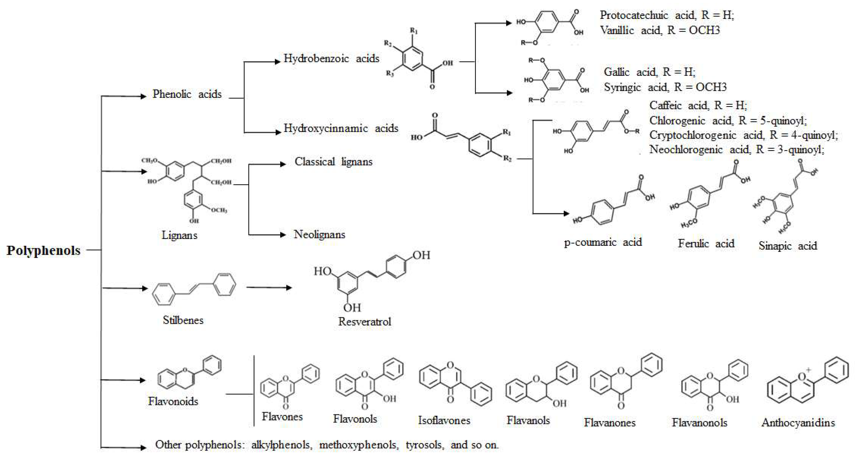 Molecules 27 07832 g001 Molecules 27 07832 g001