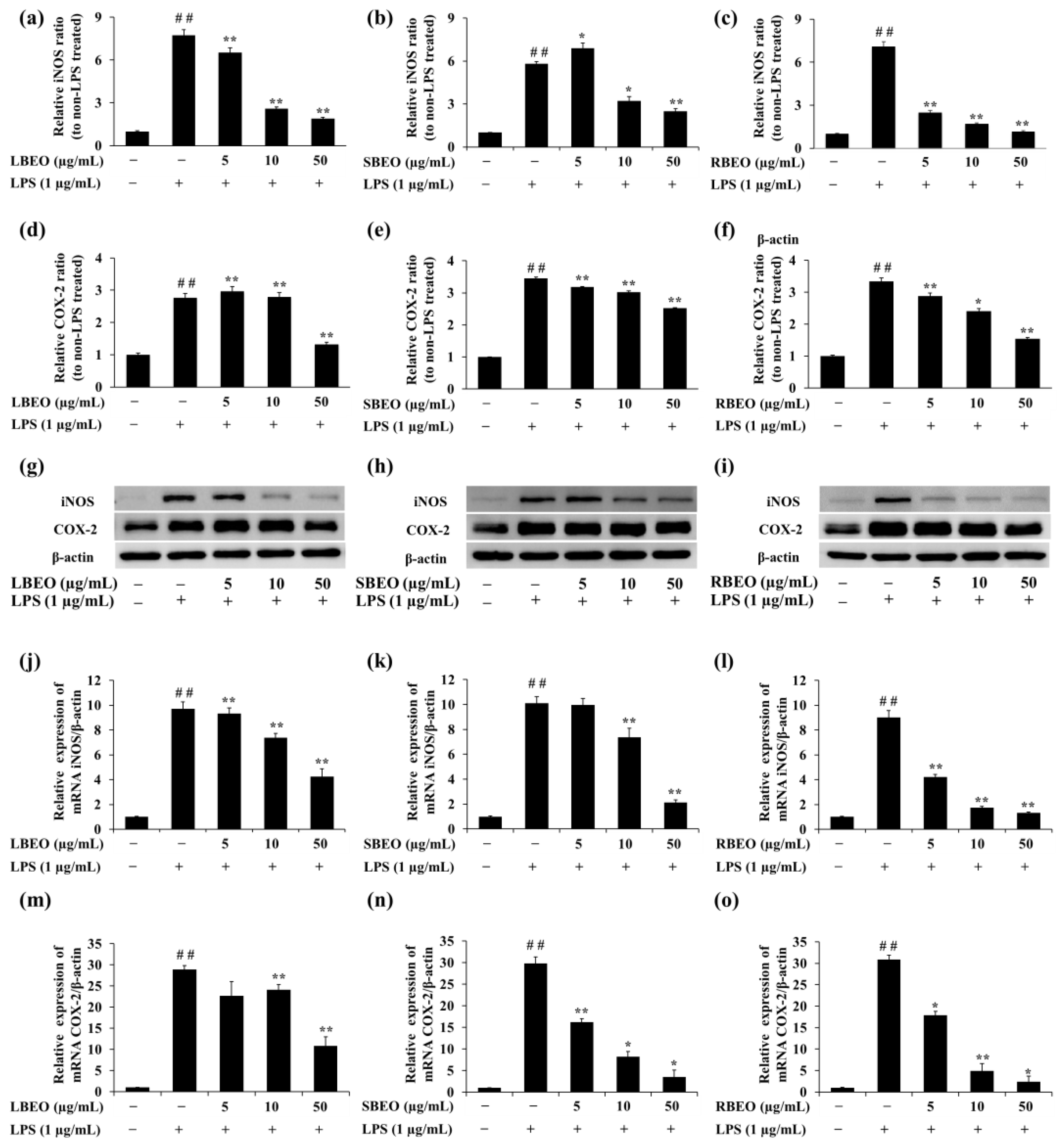 Molecules 27 07839 g006 Molecules 27 07839 g006