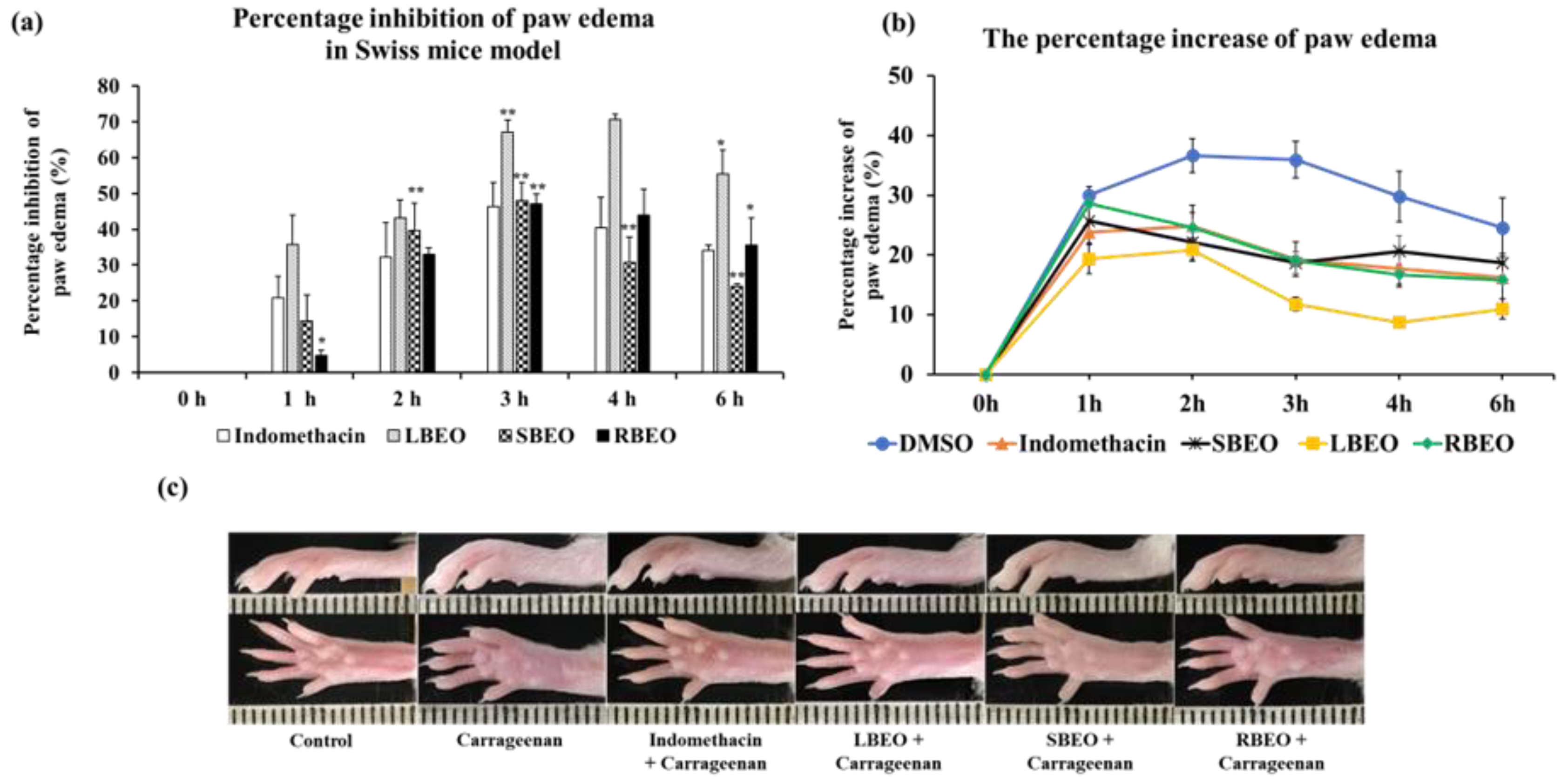 Molecules 27 07839 g008 Molecules 27 07839 g008