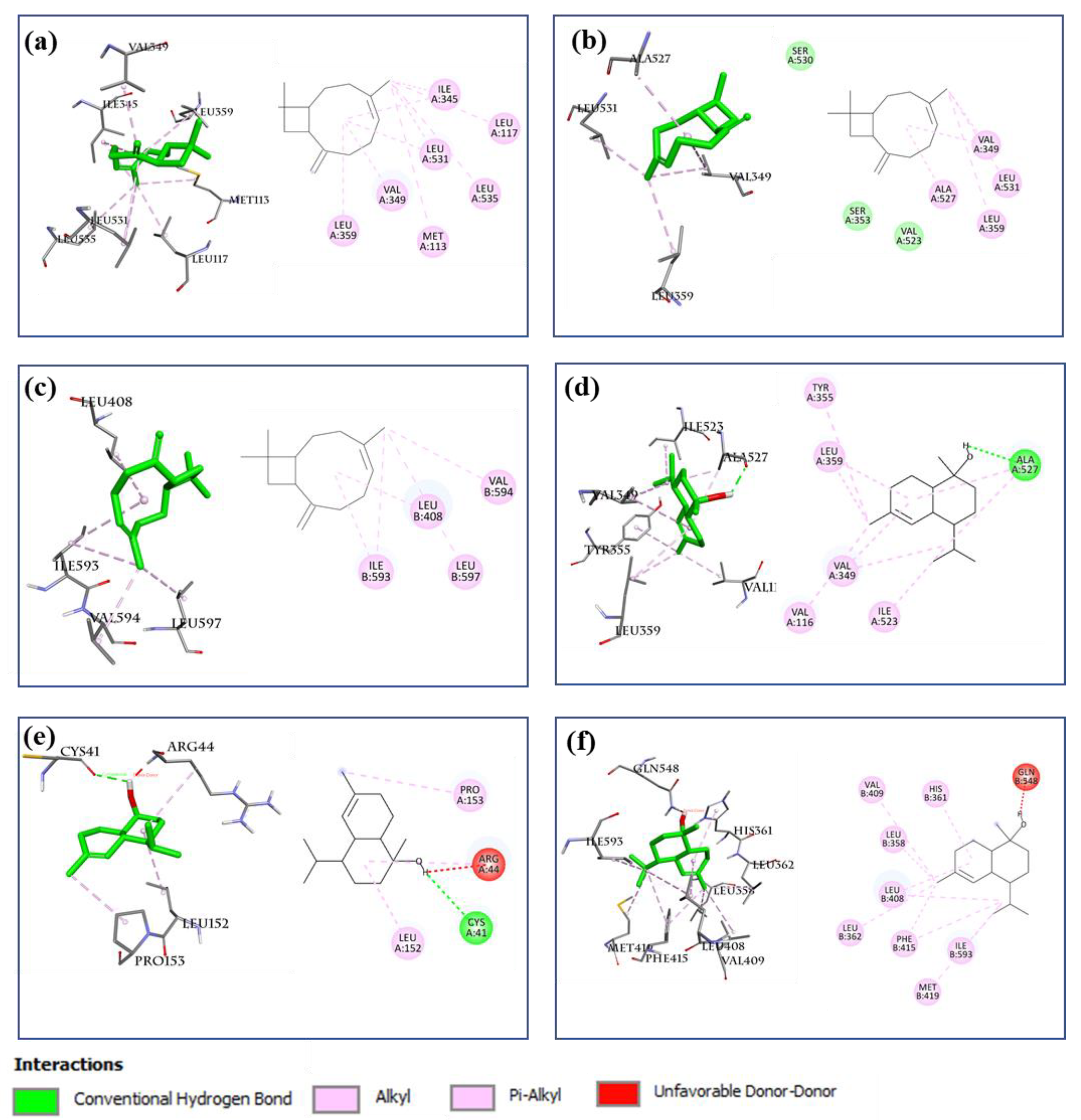 Molecules 27 07839 g010 Molecules 27 07839 g010
