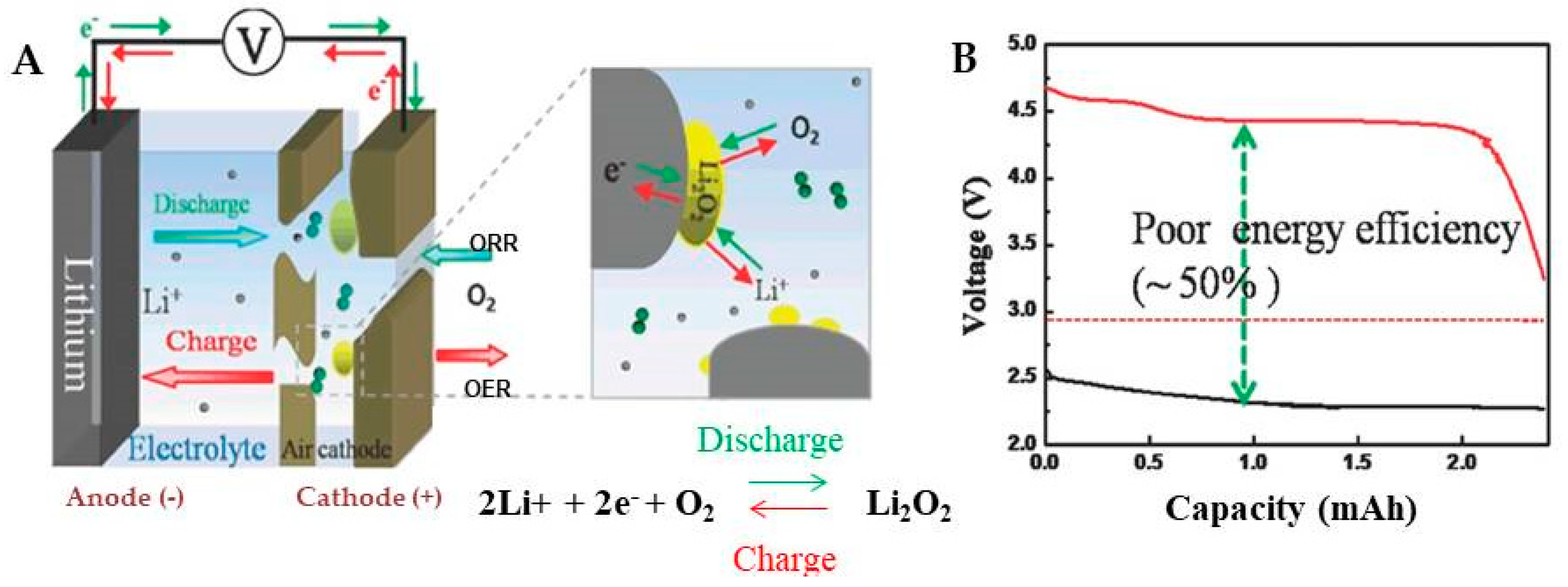 Molecules 27 07851 g002 Molecules 27 07851 g002