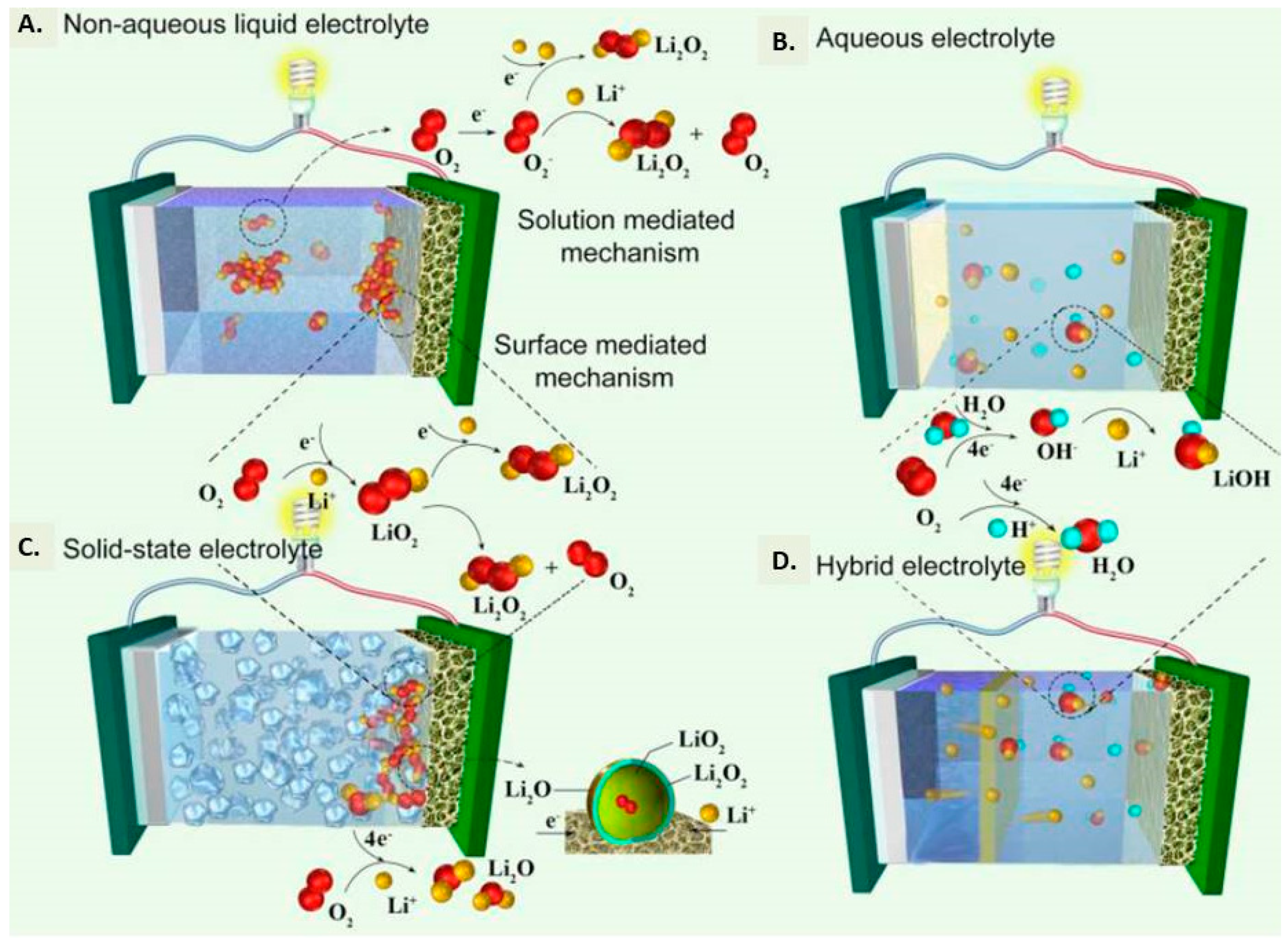 Molecules 27 07851 g004 Molecules 27 07851 g004