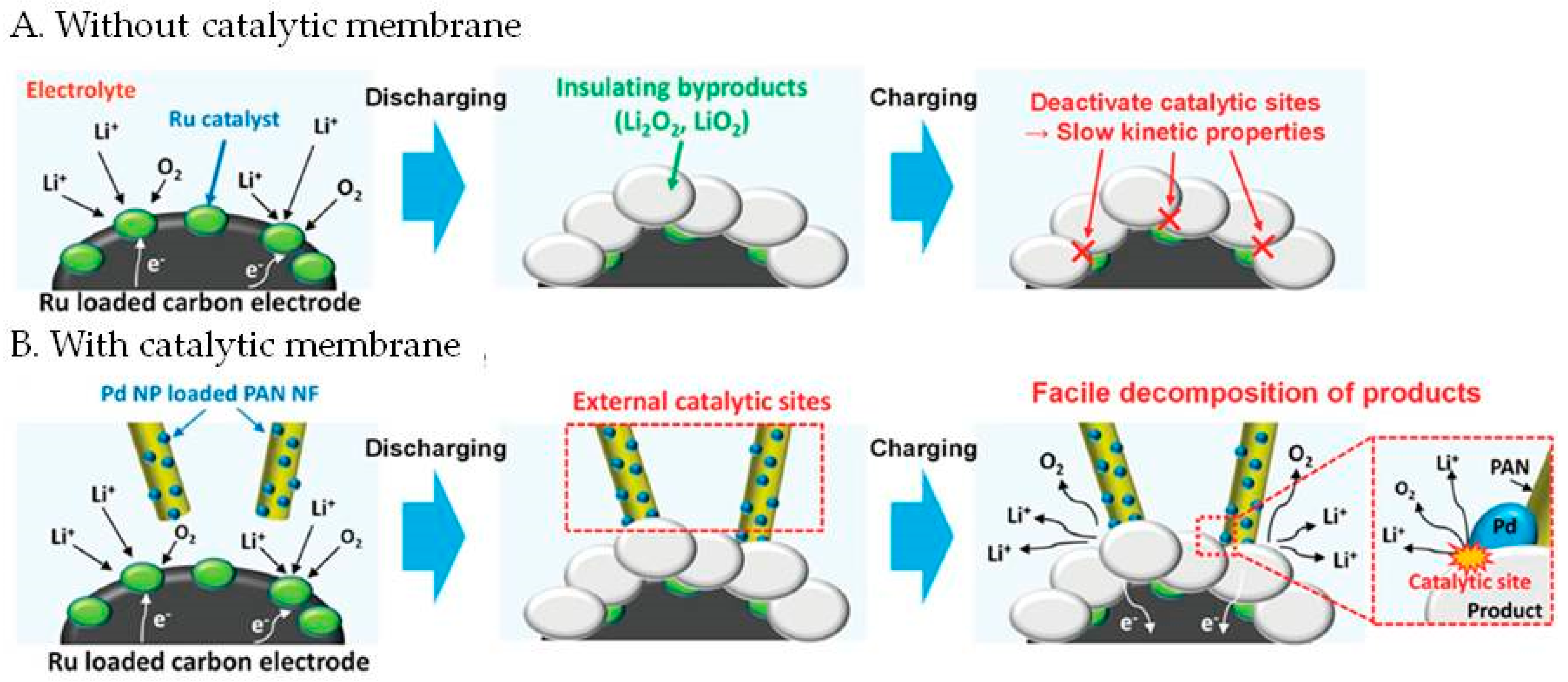 Molecules 27 07851 g006 Molecules 27 07851 g006