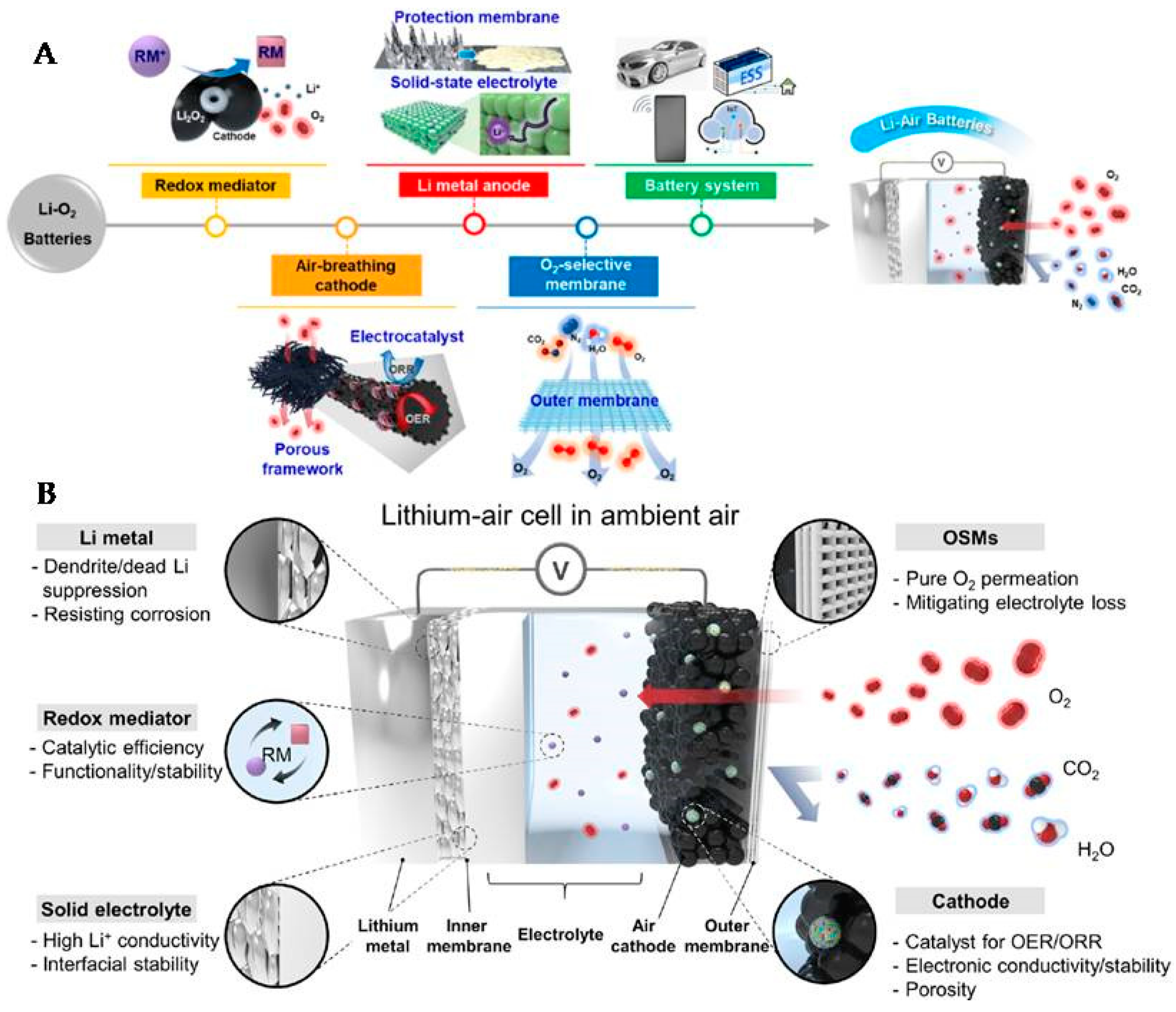 Molecules 27 07851 g009 Molecules 27 07851 g009