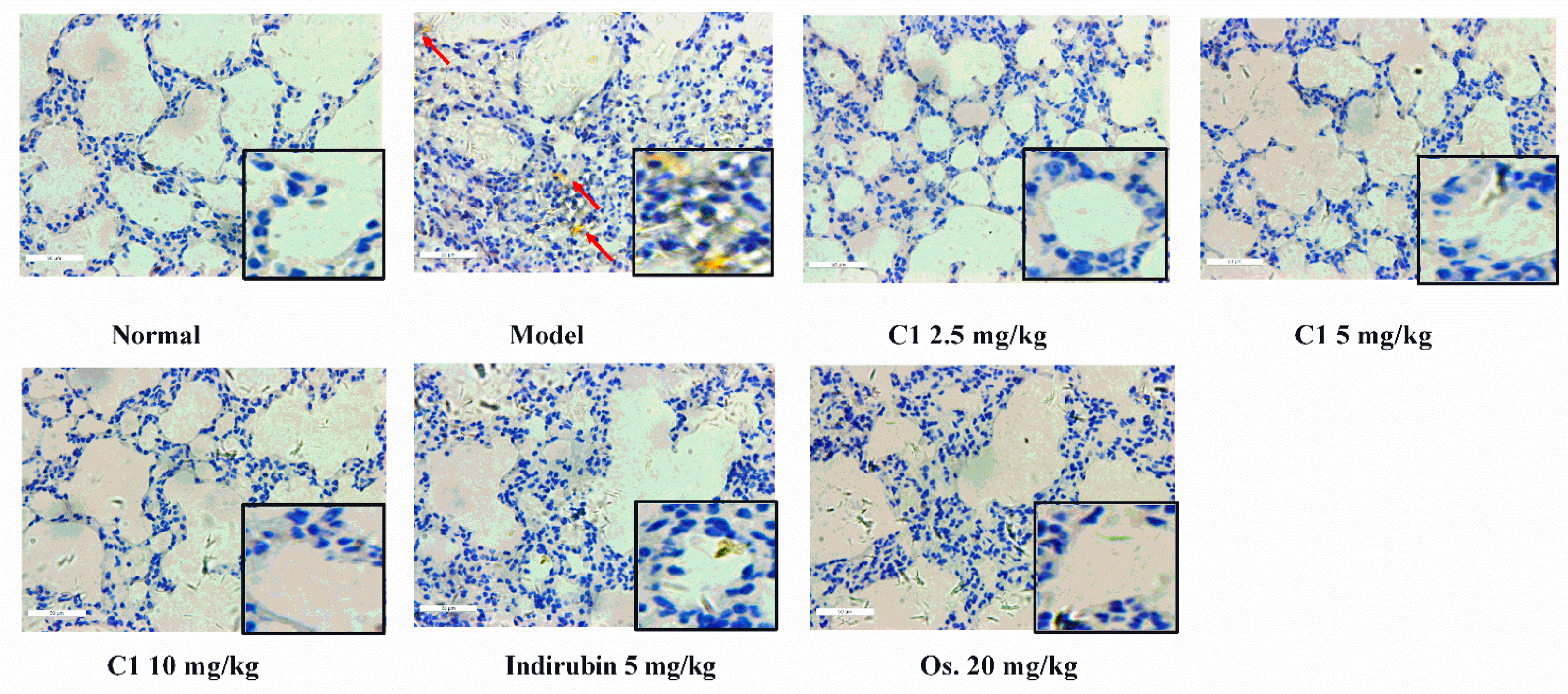 Molecules 27 07857 g006