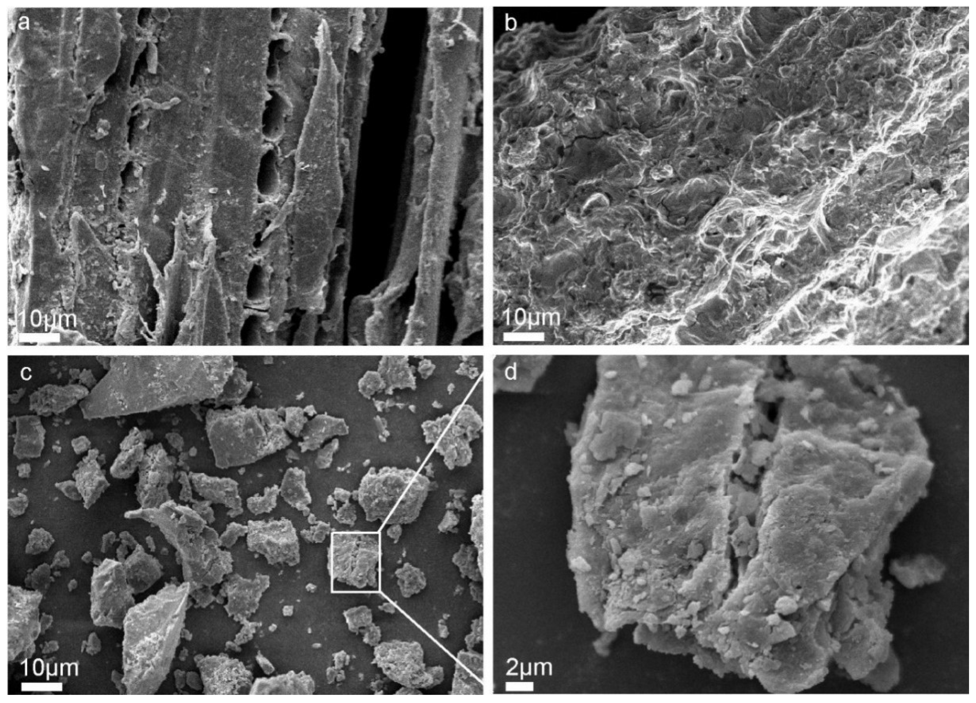 Molecules 27 07880 g006