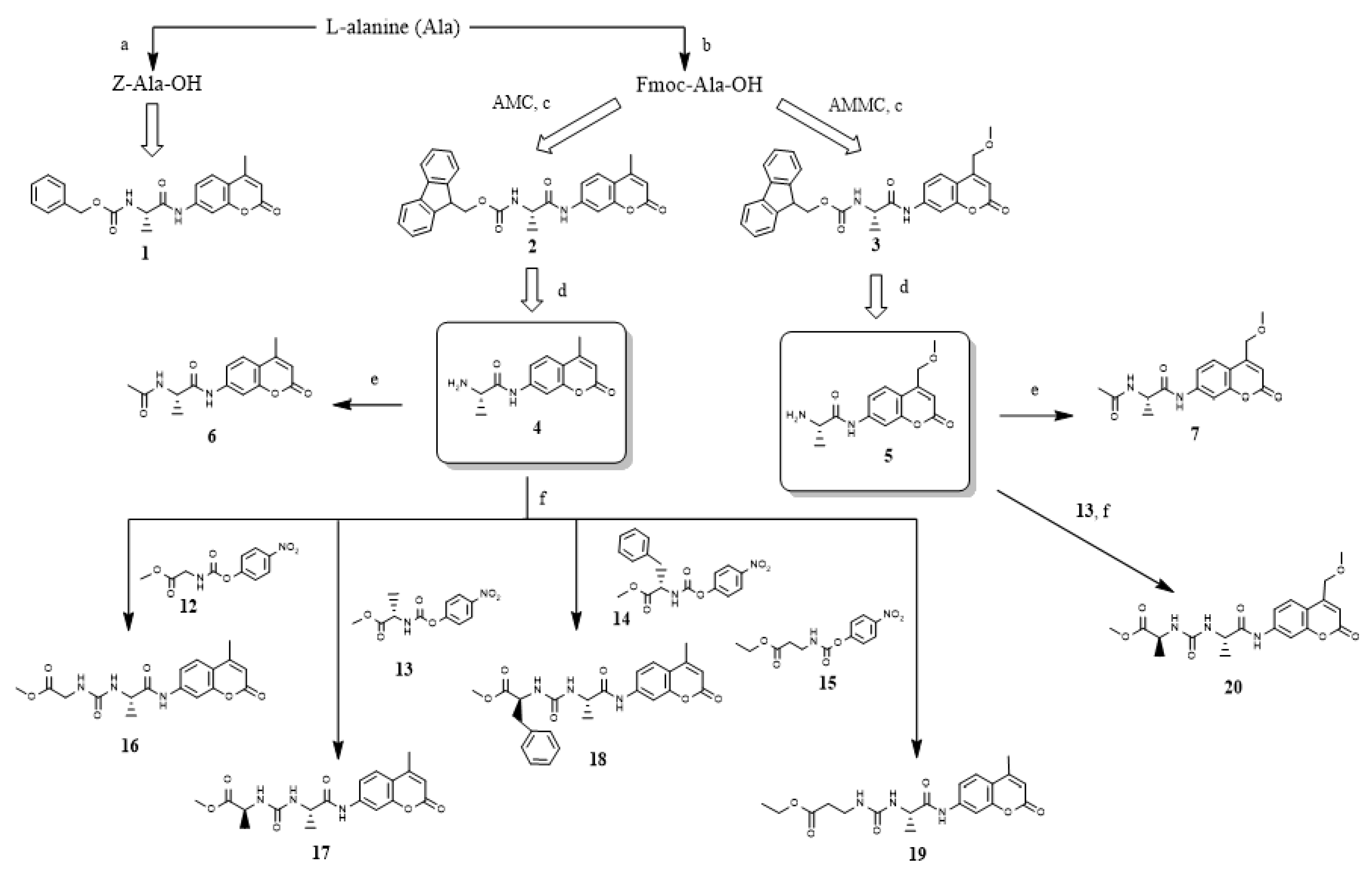 Molecules 27 07884 sch001 Molecules 27 07884 sch001