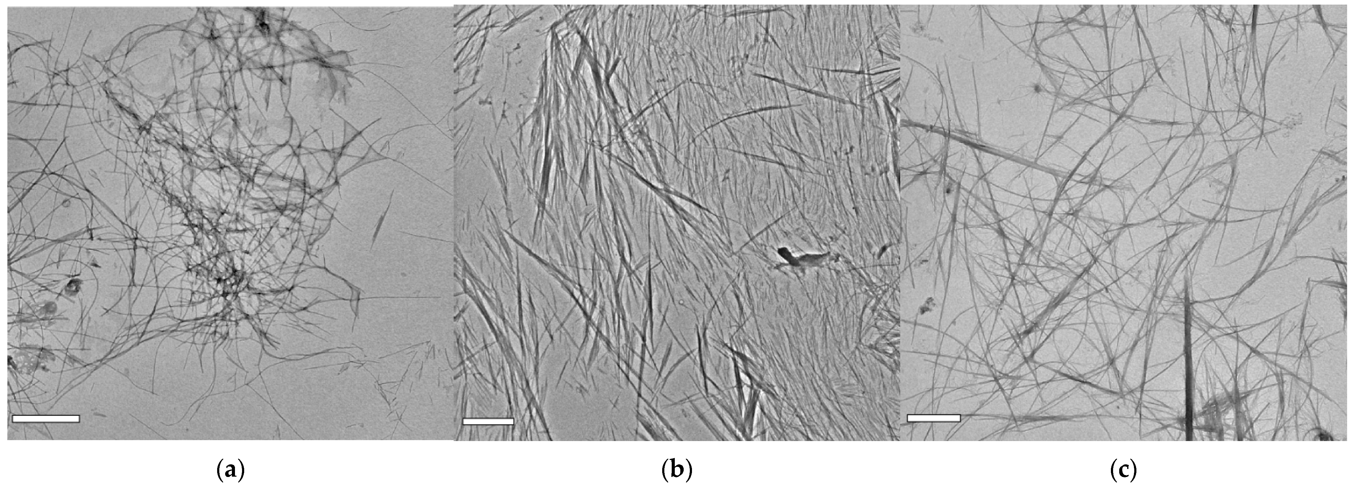 Molecules 27 07901 g004