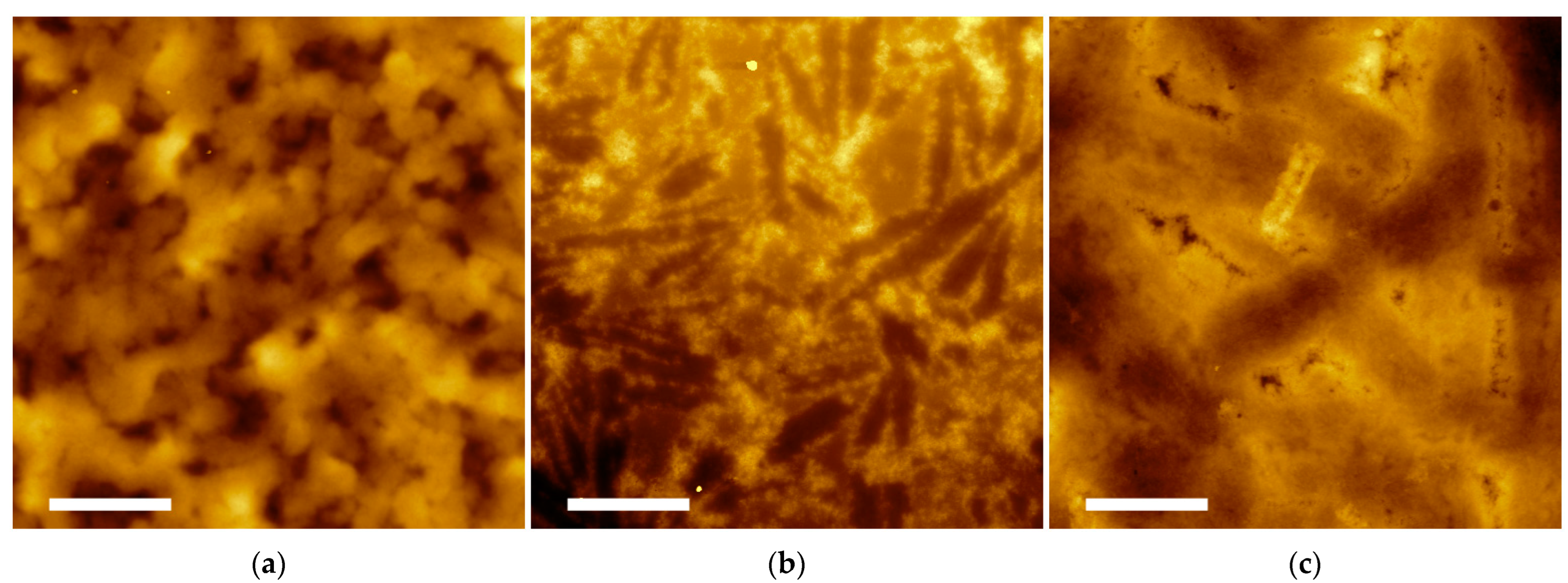 Molecules 27 07901 g006