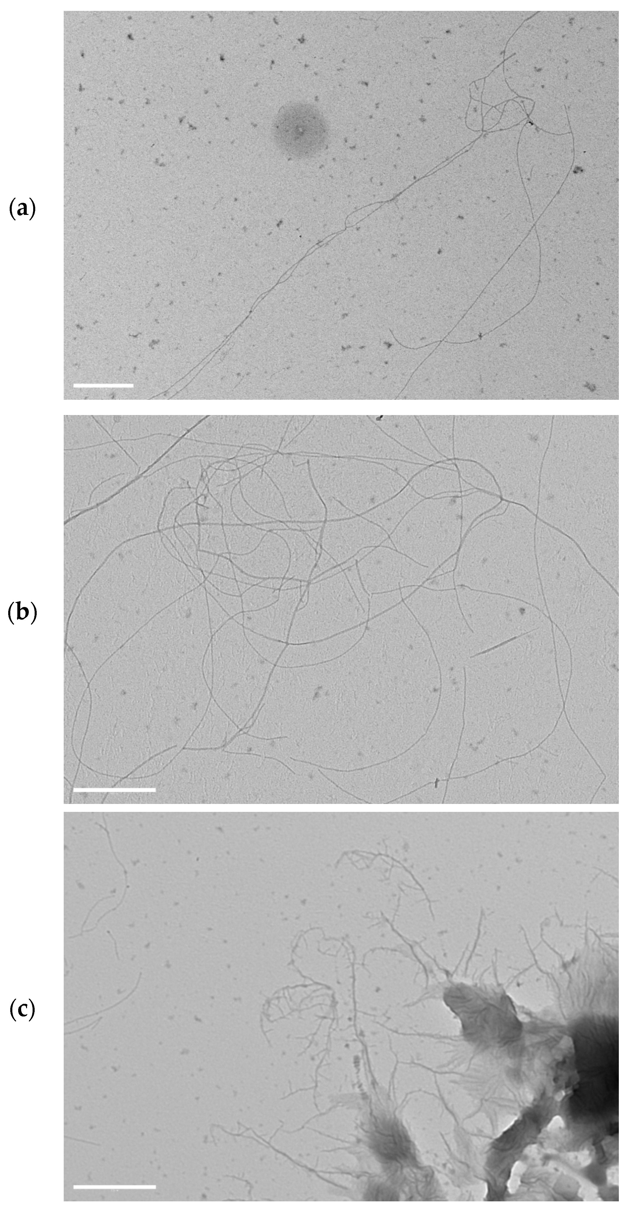 Molecules 27 07901 g007