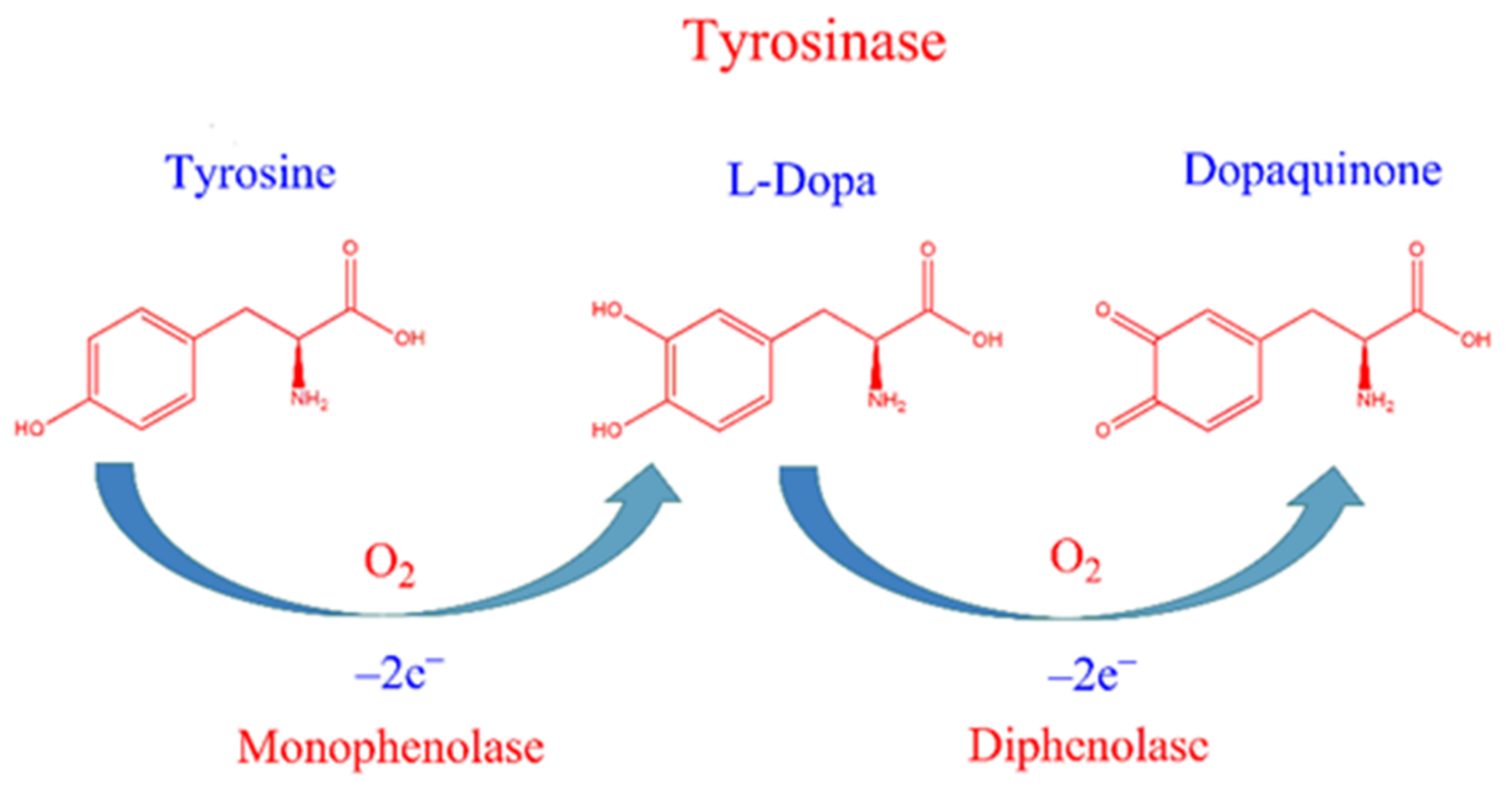 Molecules 27 07942 g001