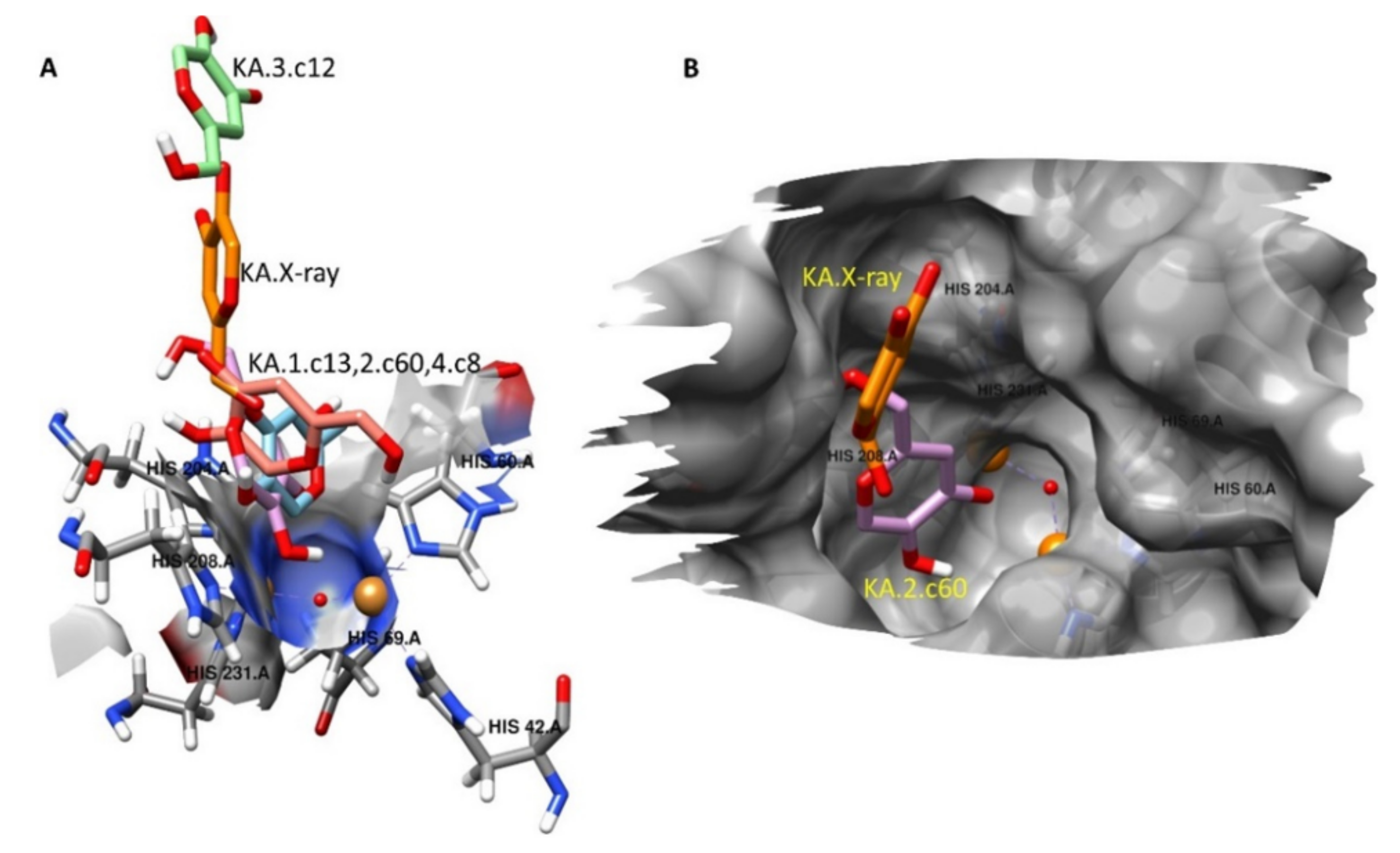 Molecules 27 07942 g009