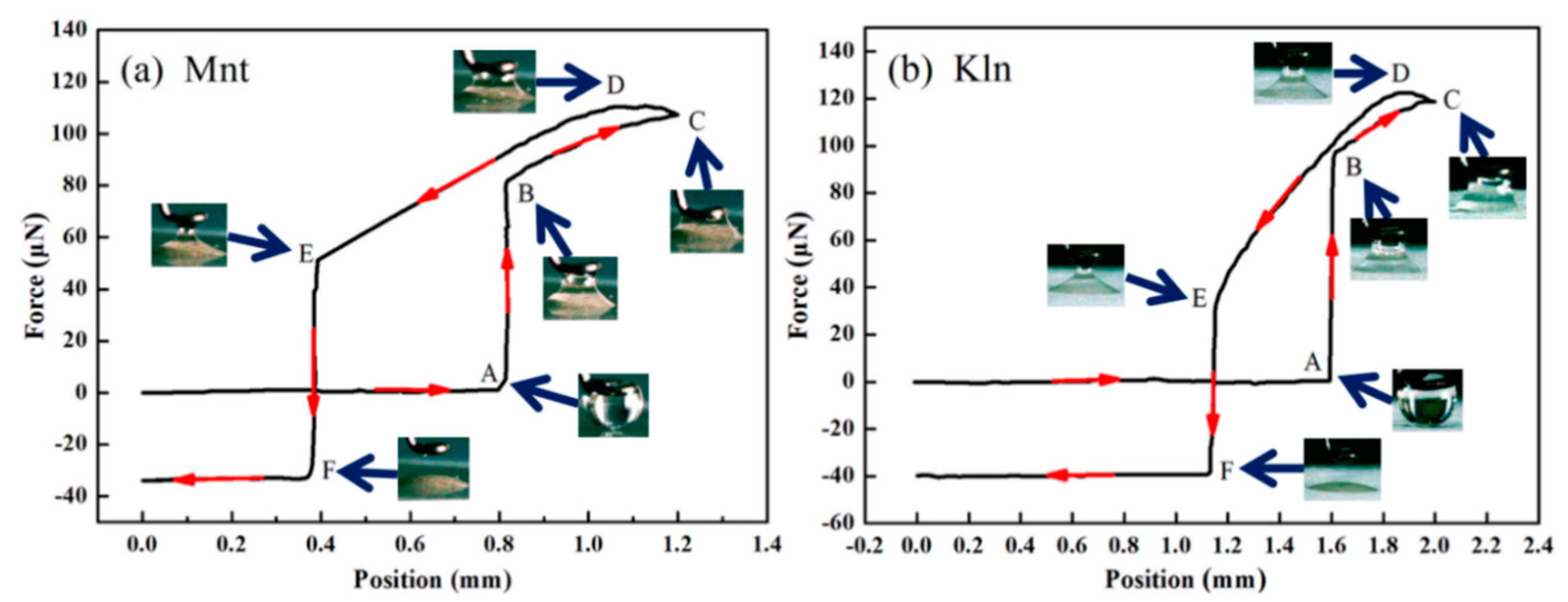 Molecules 27 07950 g007