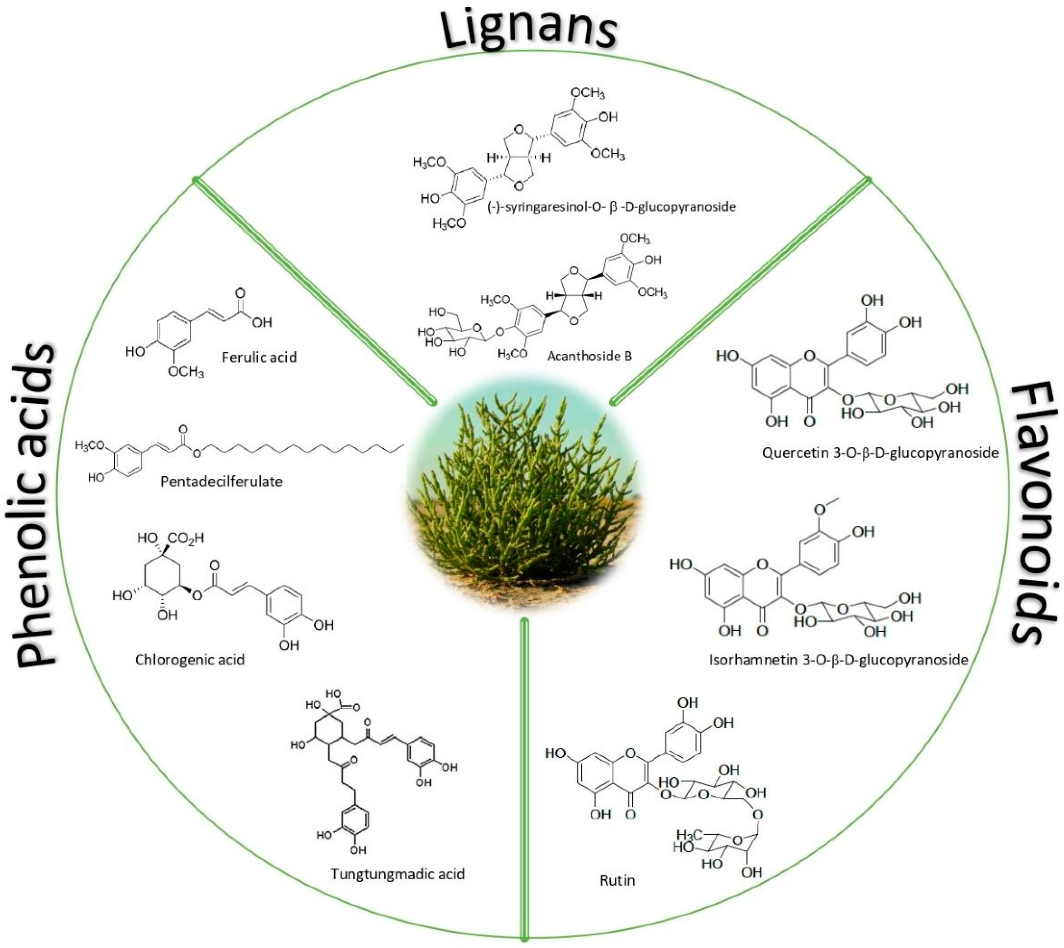 Molecules 27 07954 g002 Molecules 27 07954 g002