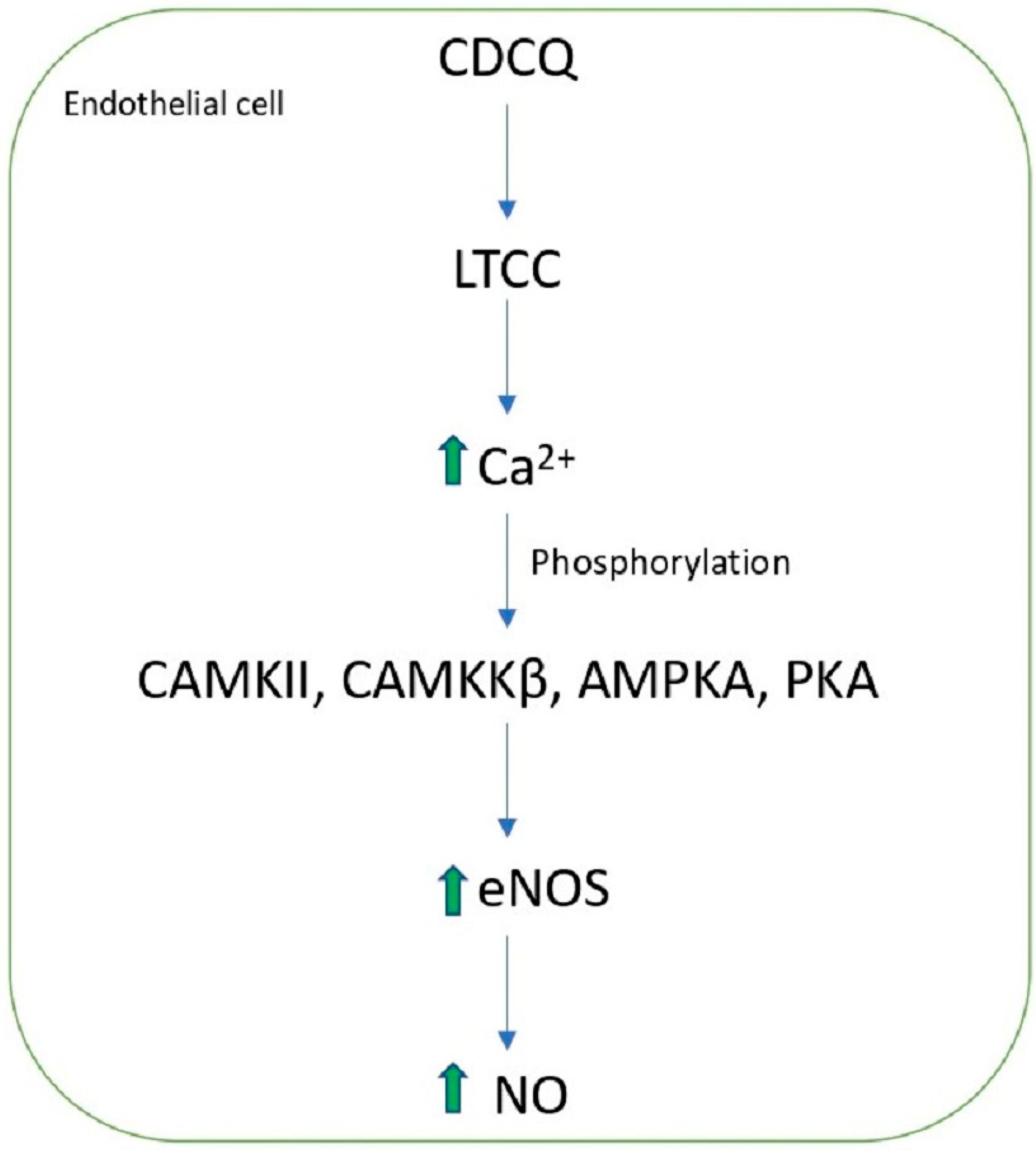 Molecules 27 07954 g003 Molecules 27 07954 g003