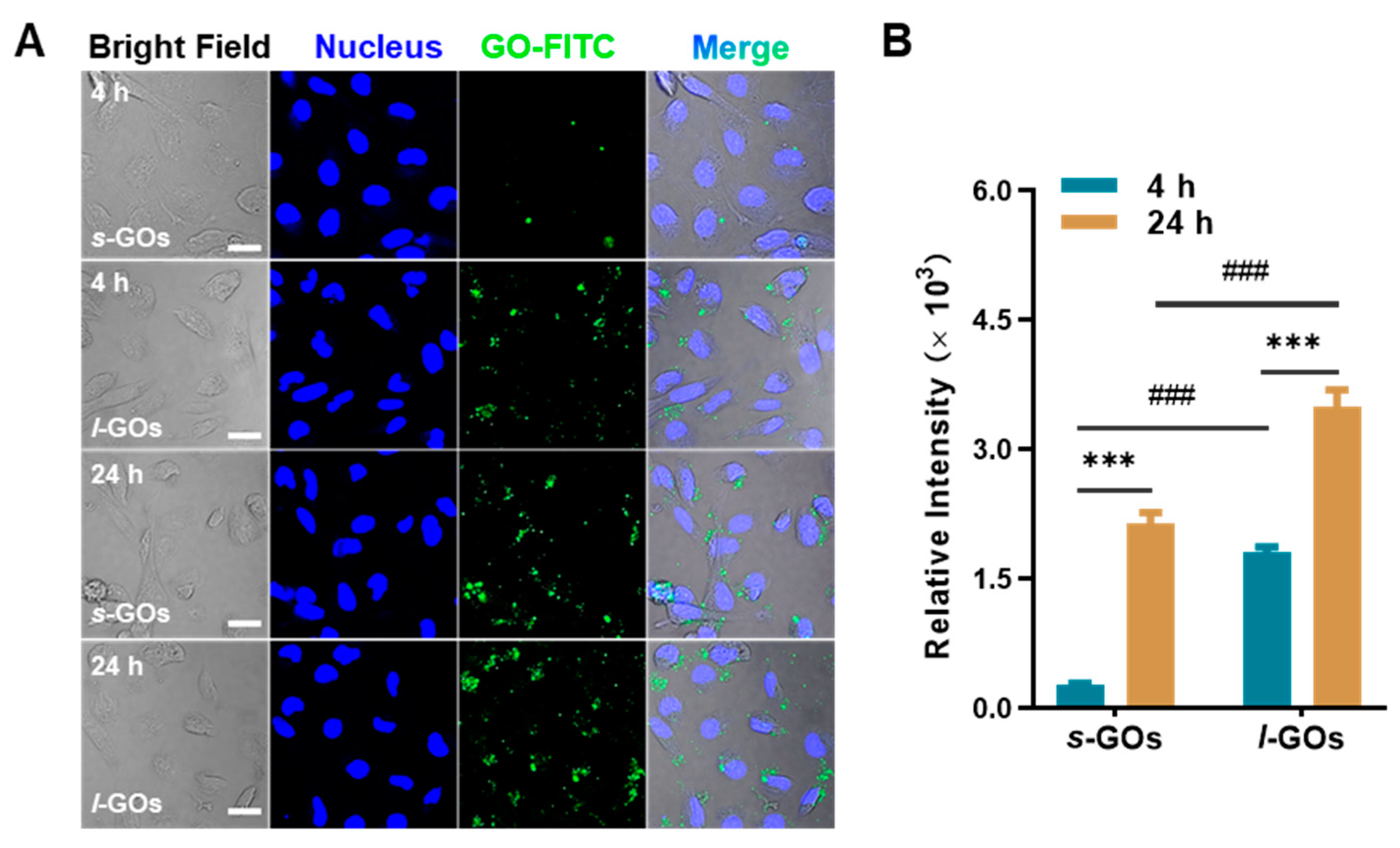 Molecules 27 07956 g006 Molecules 27 07956 g006