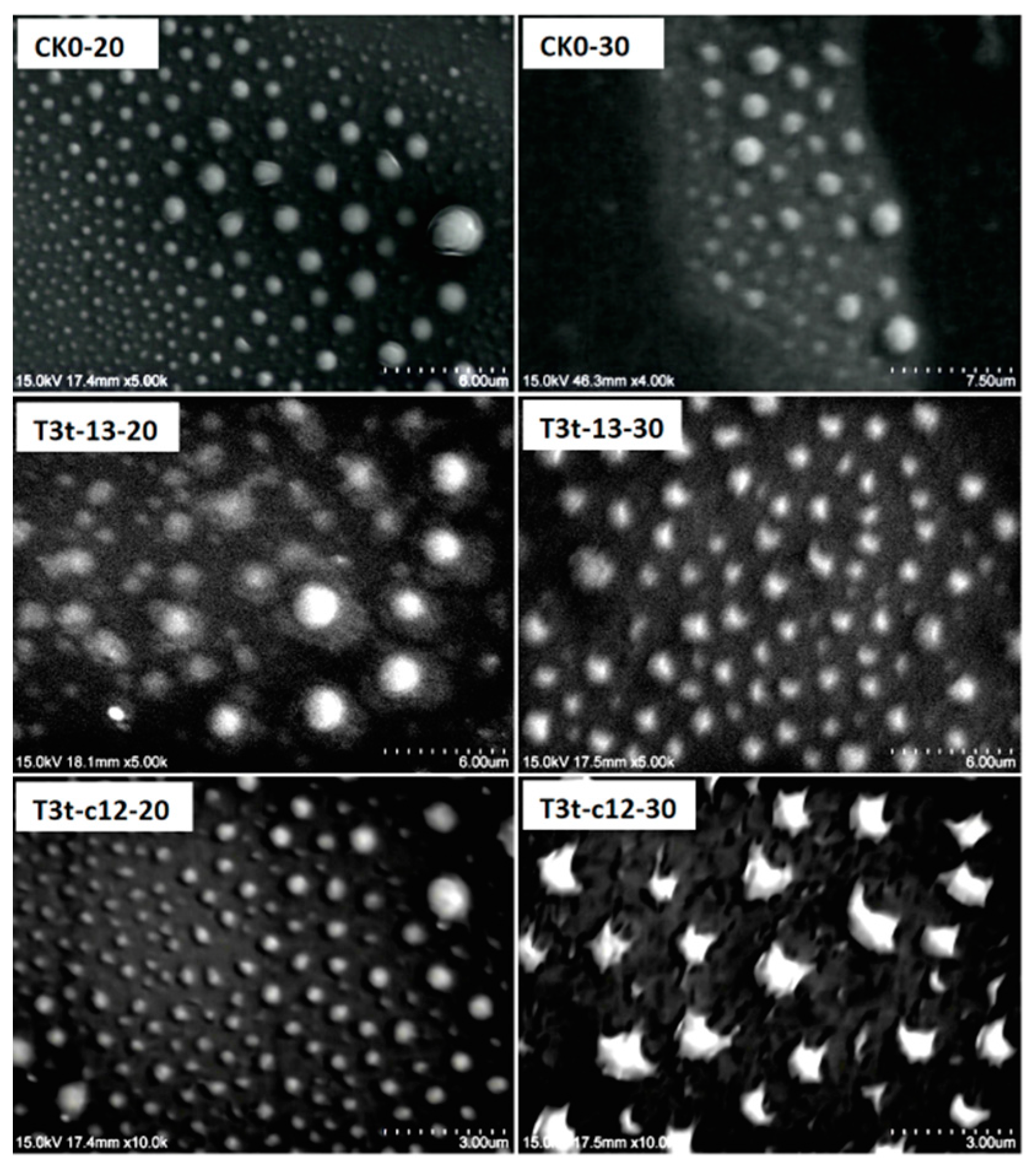 Molecules 27 07959 g006 Molecules 27 07959 g006