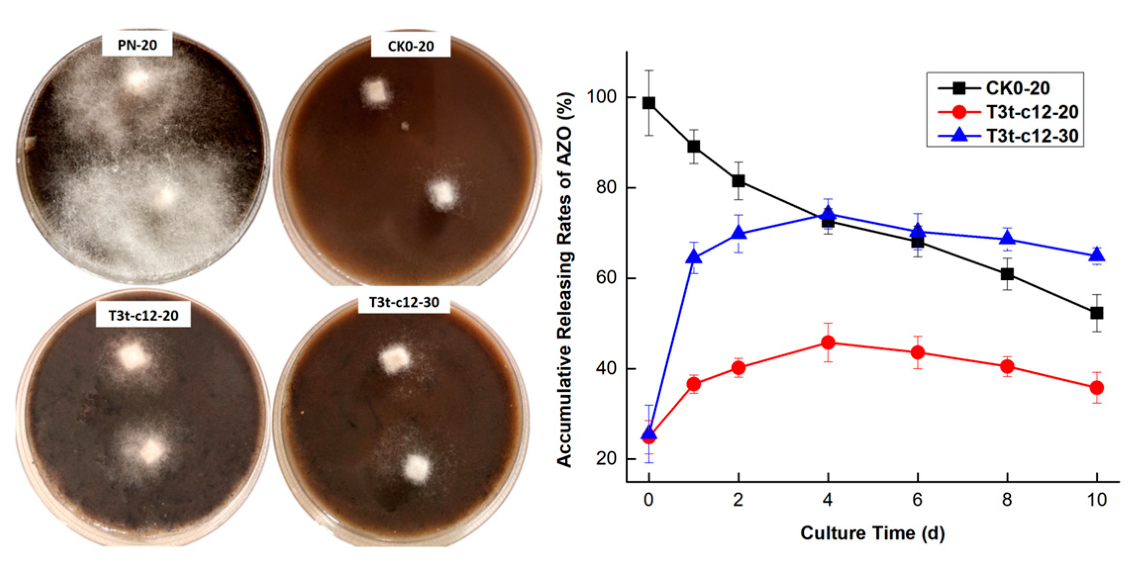 Molecules 27 07959 g010 Molecules 27 07959 g010