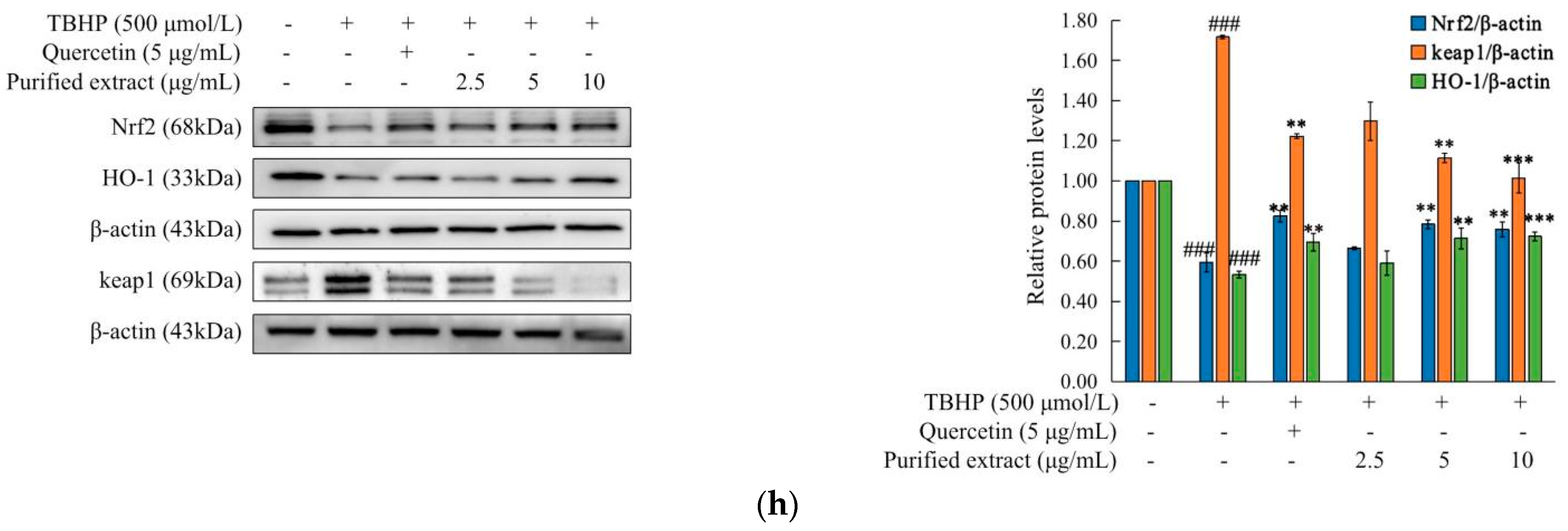Molecules 27 07970 g005b