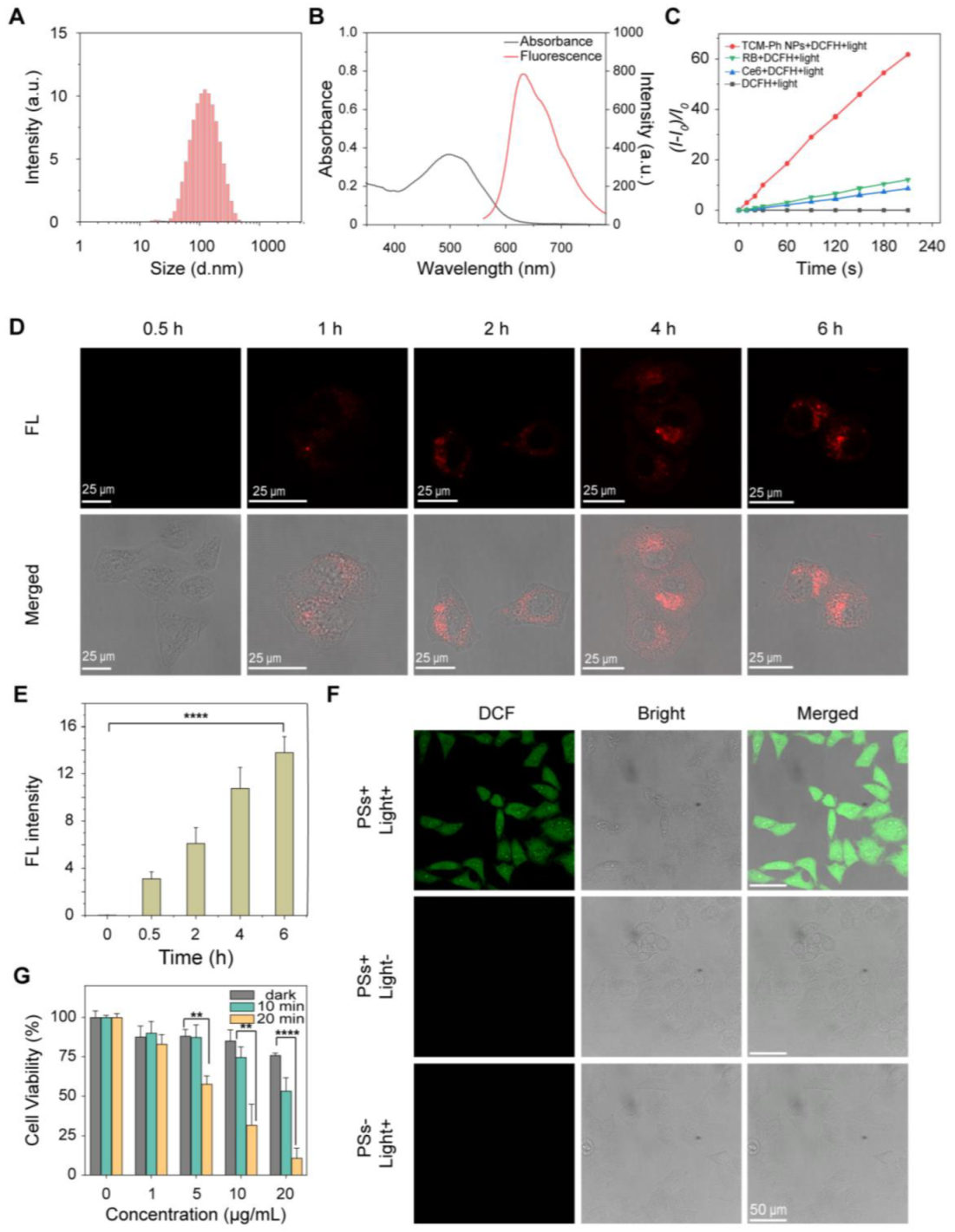 Molecules 27 07981 g004 Molecules 27 07981 g004