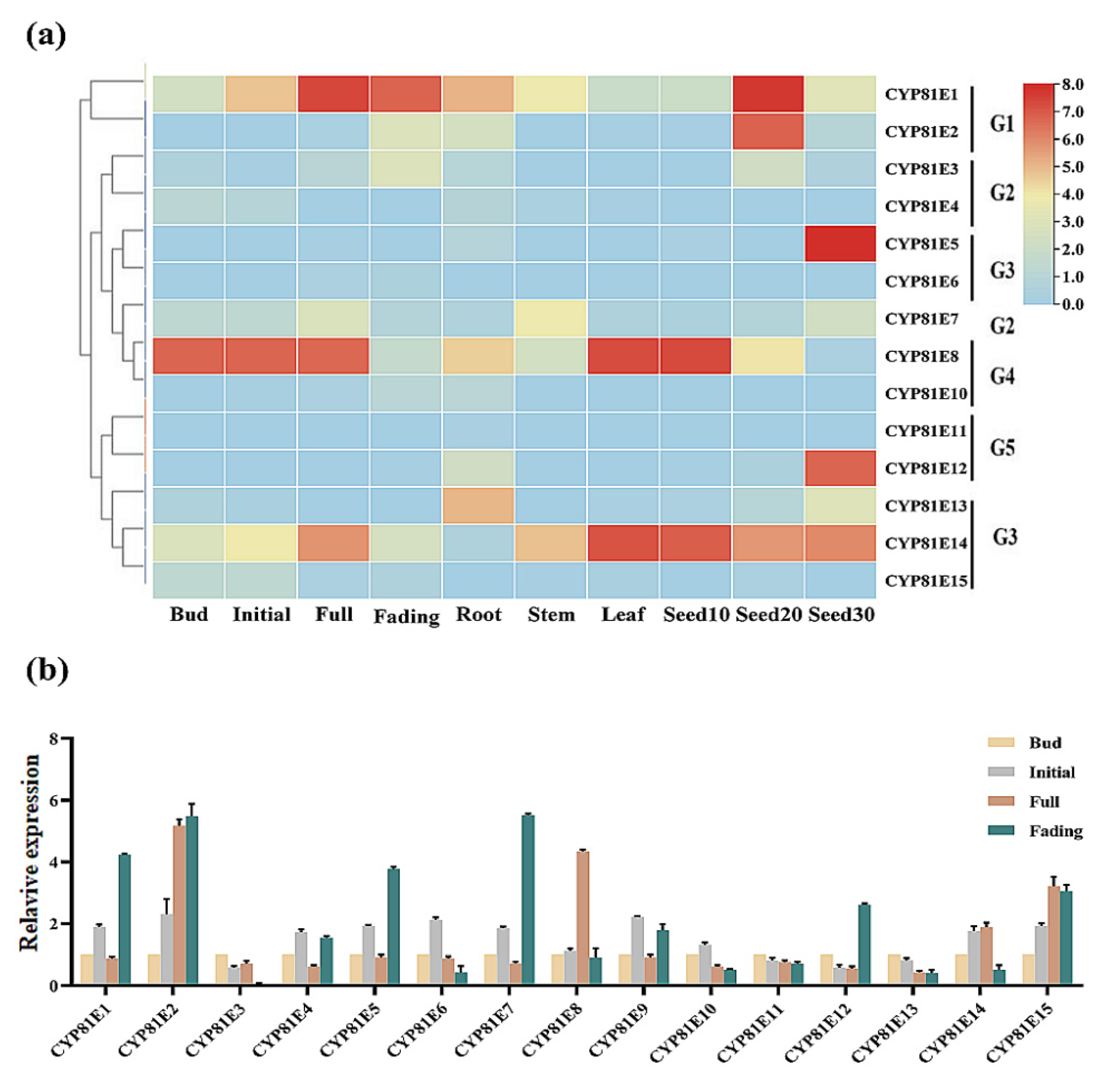 Molecules 27 08001 g004