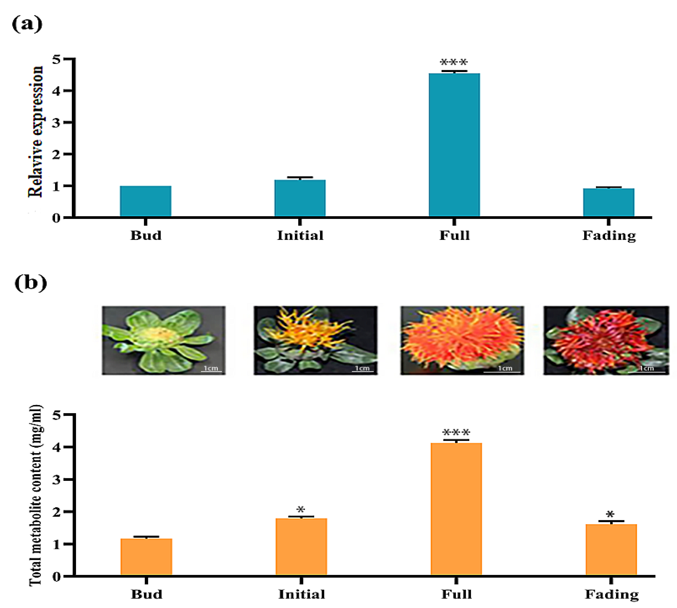 Molecules 27 08001 g005
