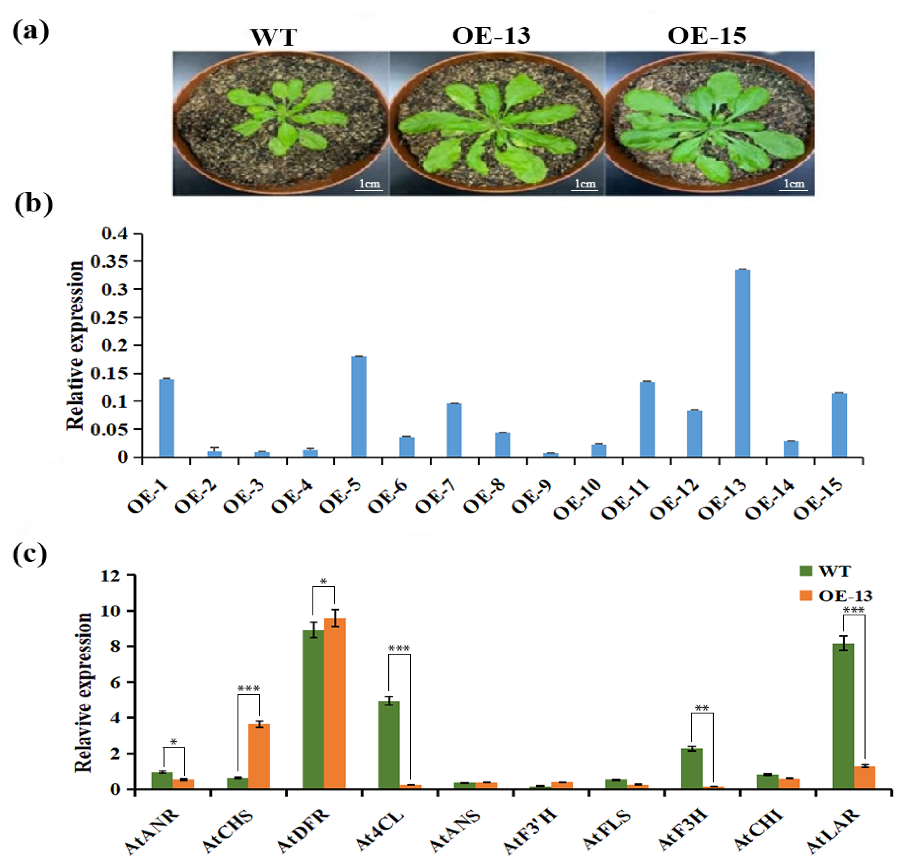 Molecules 27 08001 g008
