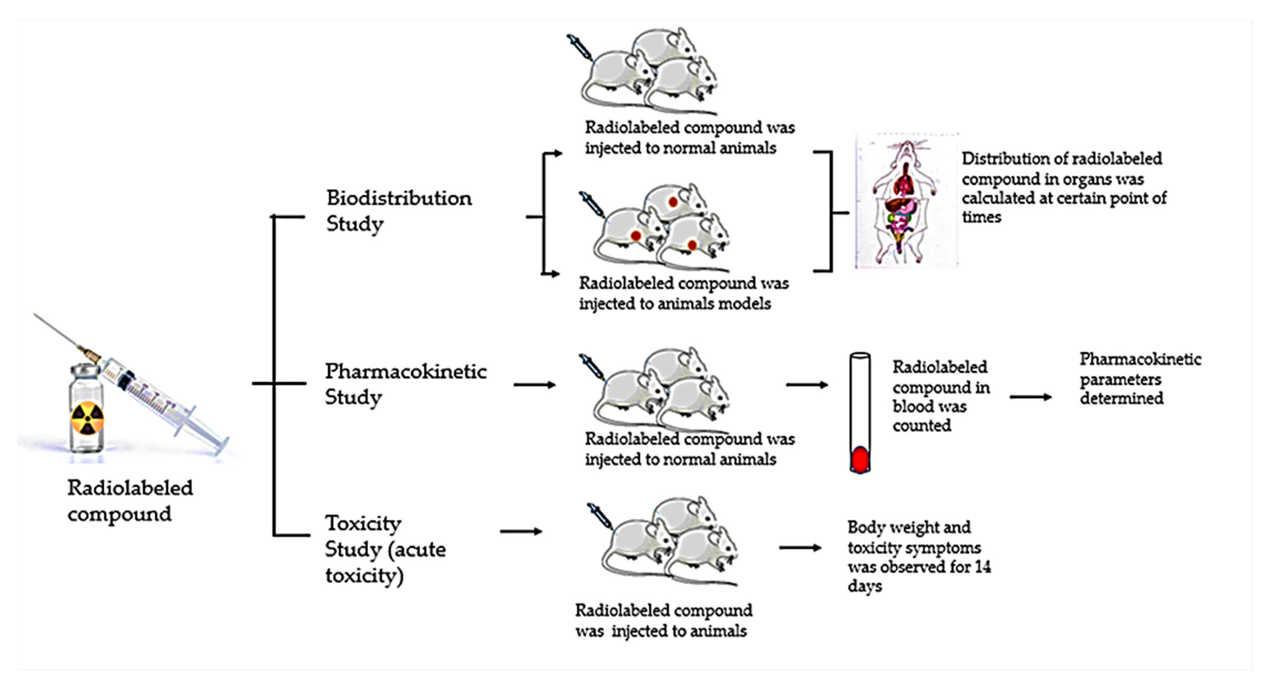 Molecules | Free Full-Text | Future Prospective Of Radiopharmaceuticals ...