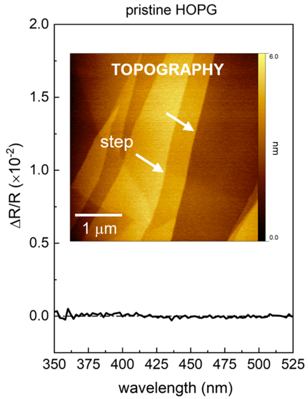 Molecules 27 08010 g001 Molecules 27 08010 g001