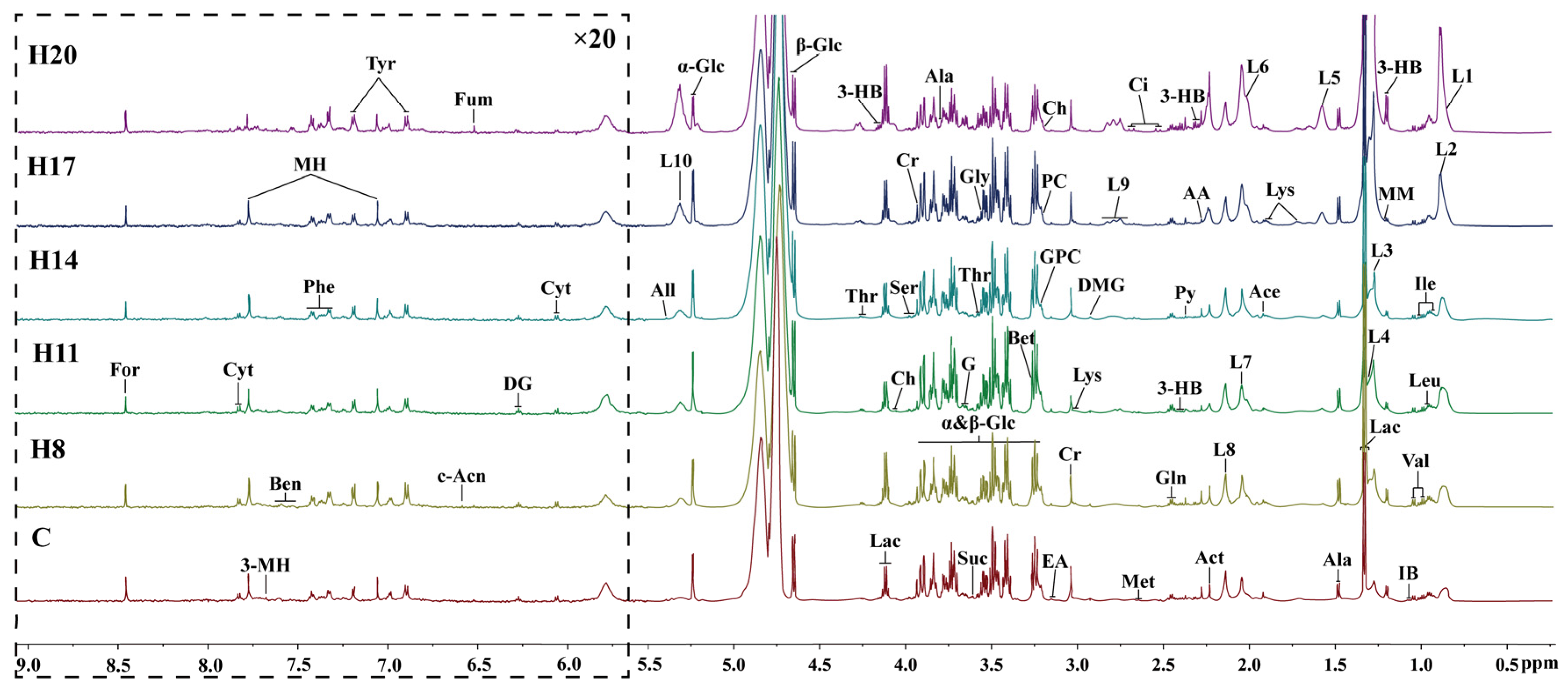 Molecules 27 08013 g001 Molecules 27 08013 g001