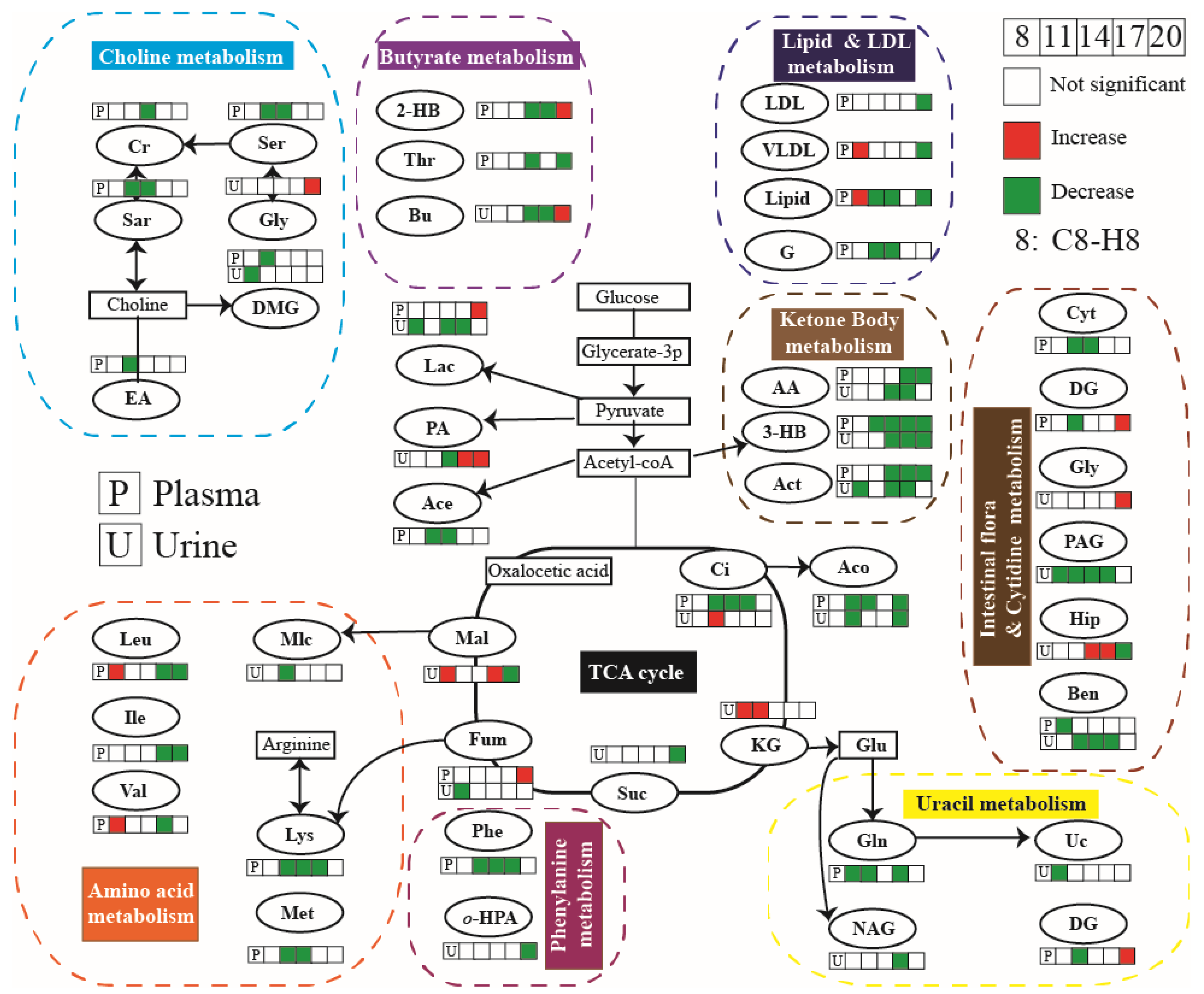Molecules 27 08013 g008 Molecules 27 08013 g008