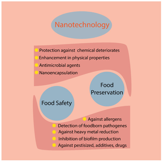 Food packaging Introduction