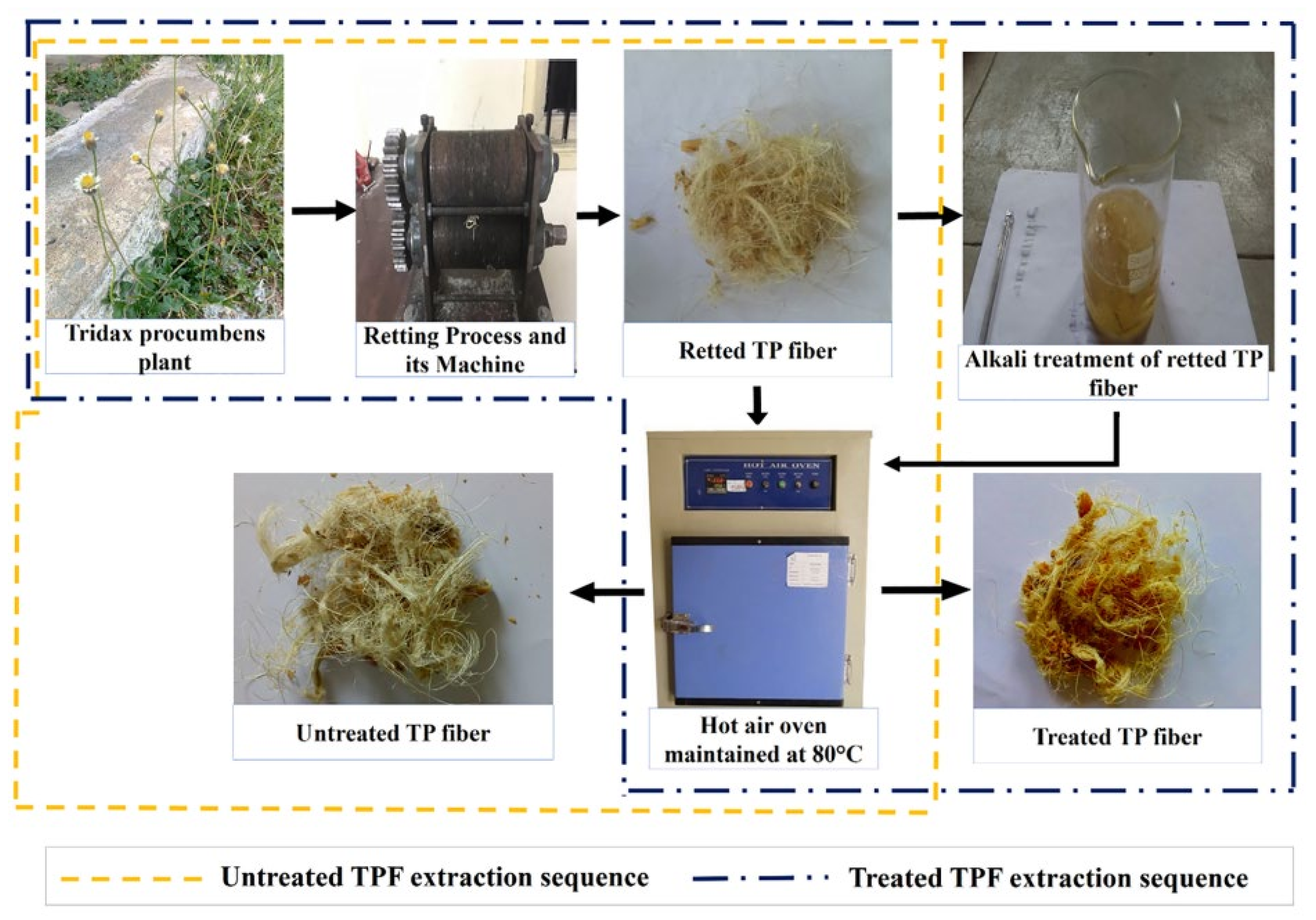 Molecules 27 08032 g006 Molecules 27 08032 g006