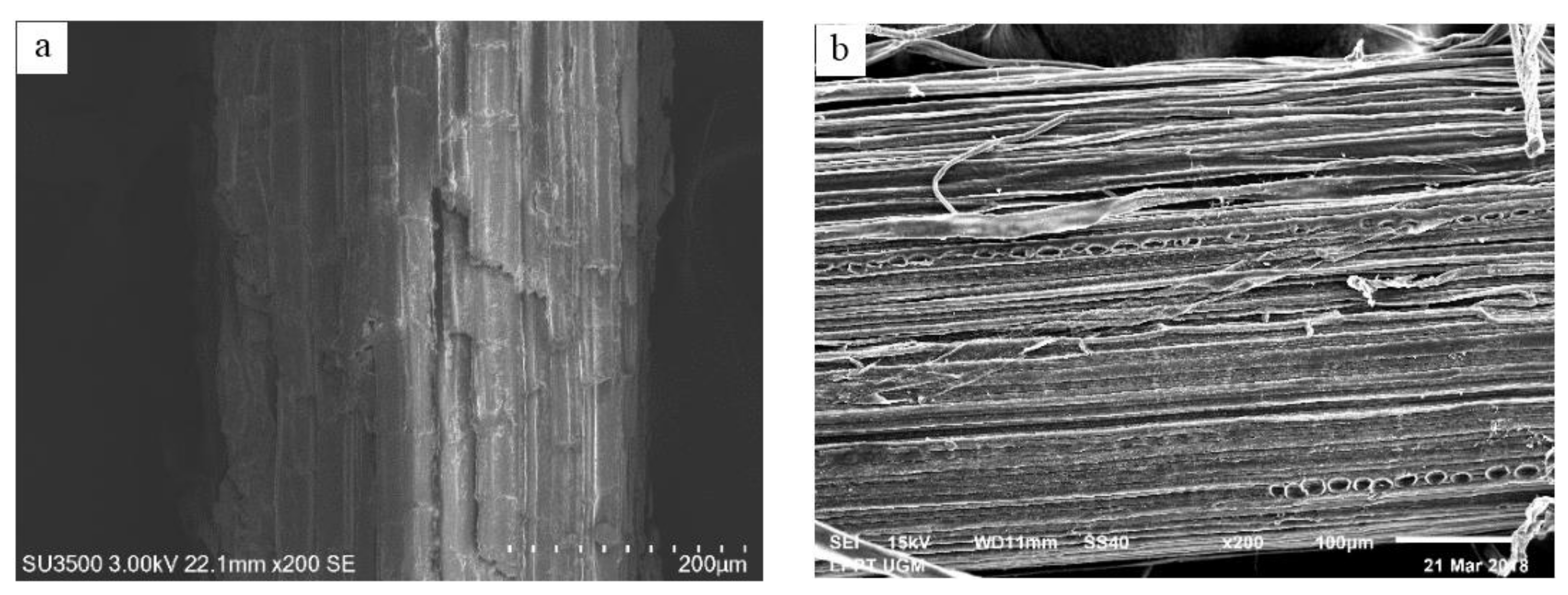 Molecules 27 08032 g009 Molecules 27 08032 g009