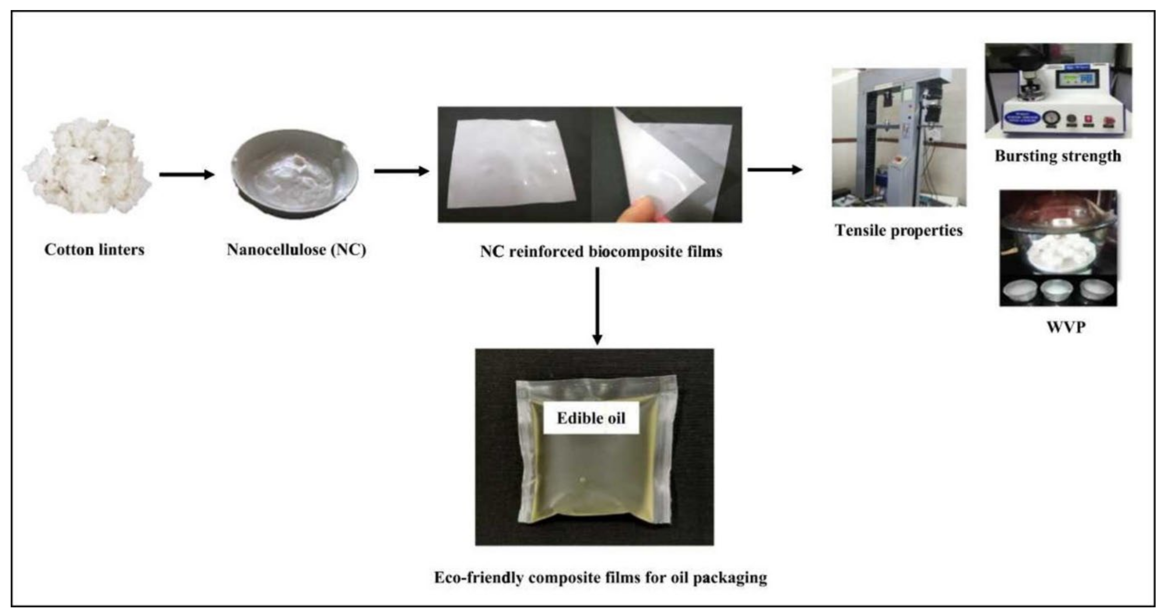 Molecules 27 08032 g014 Molecules 27 08032 g014